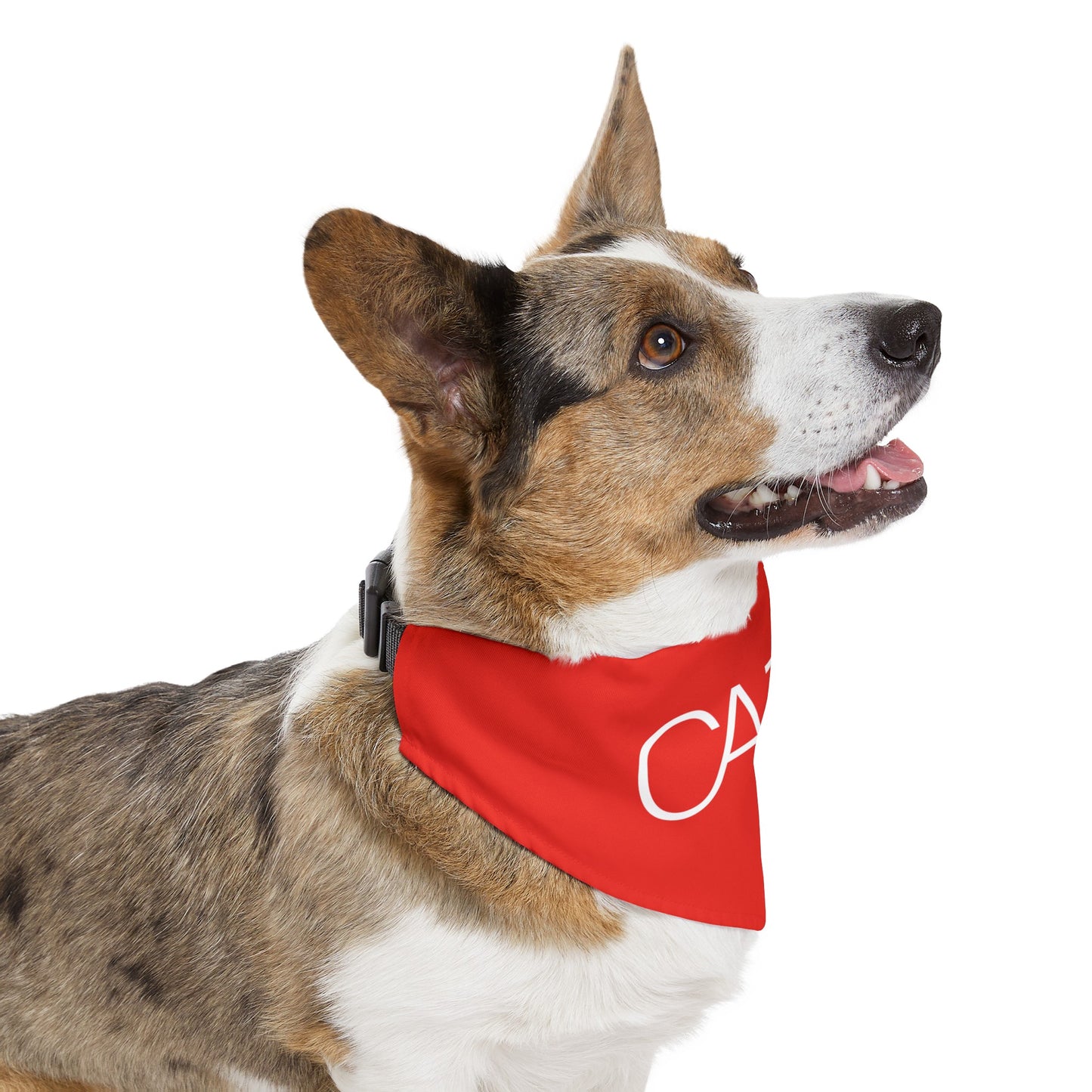 Pet Bandana Collar (Red)