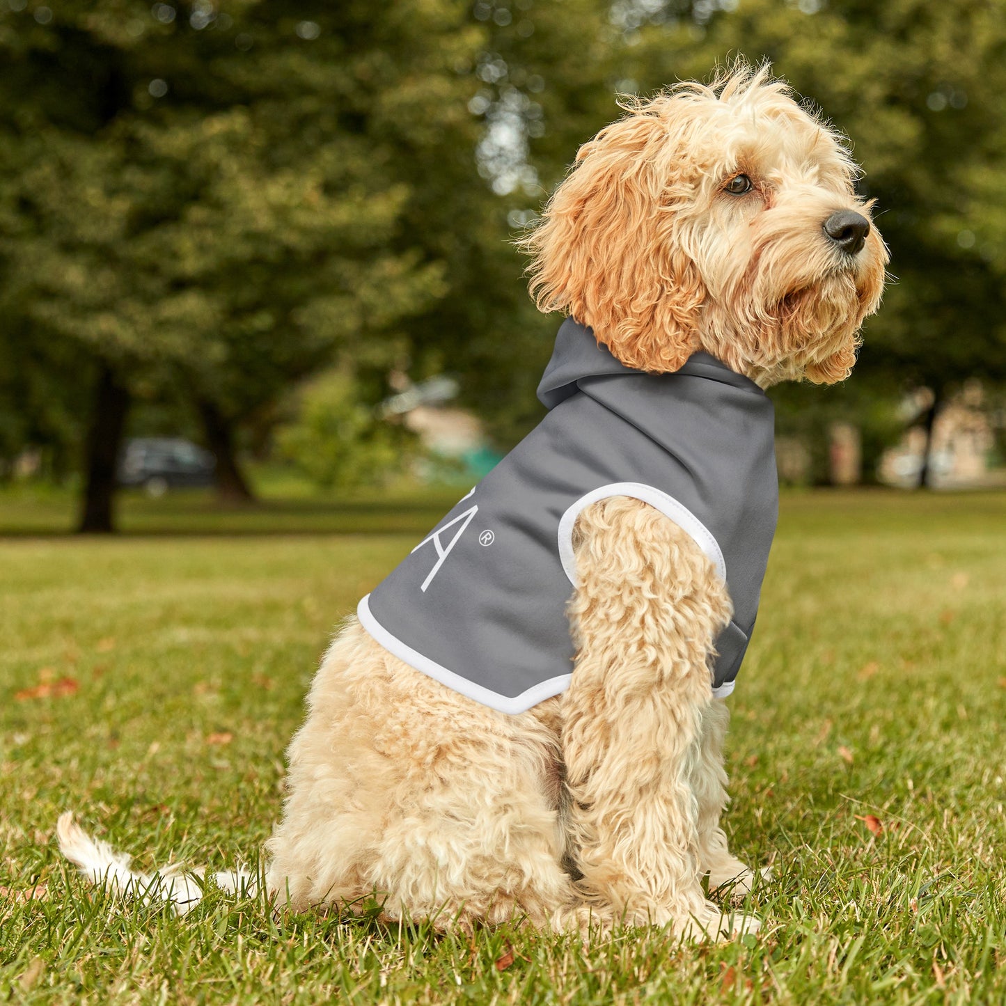 Pet Hoodie (Grey)