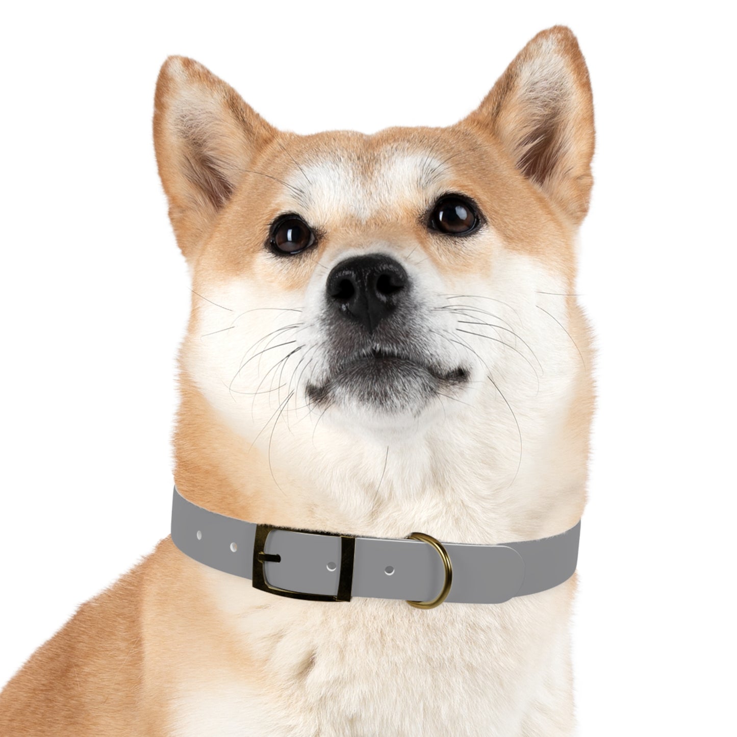 Dog Collar (Grey)