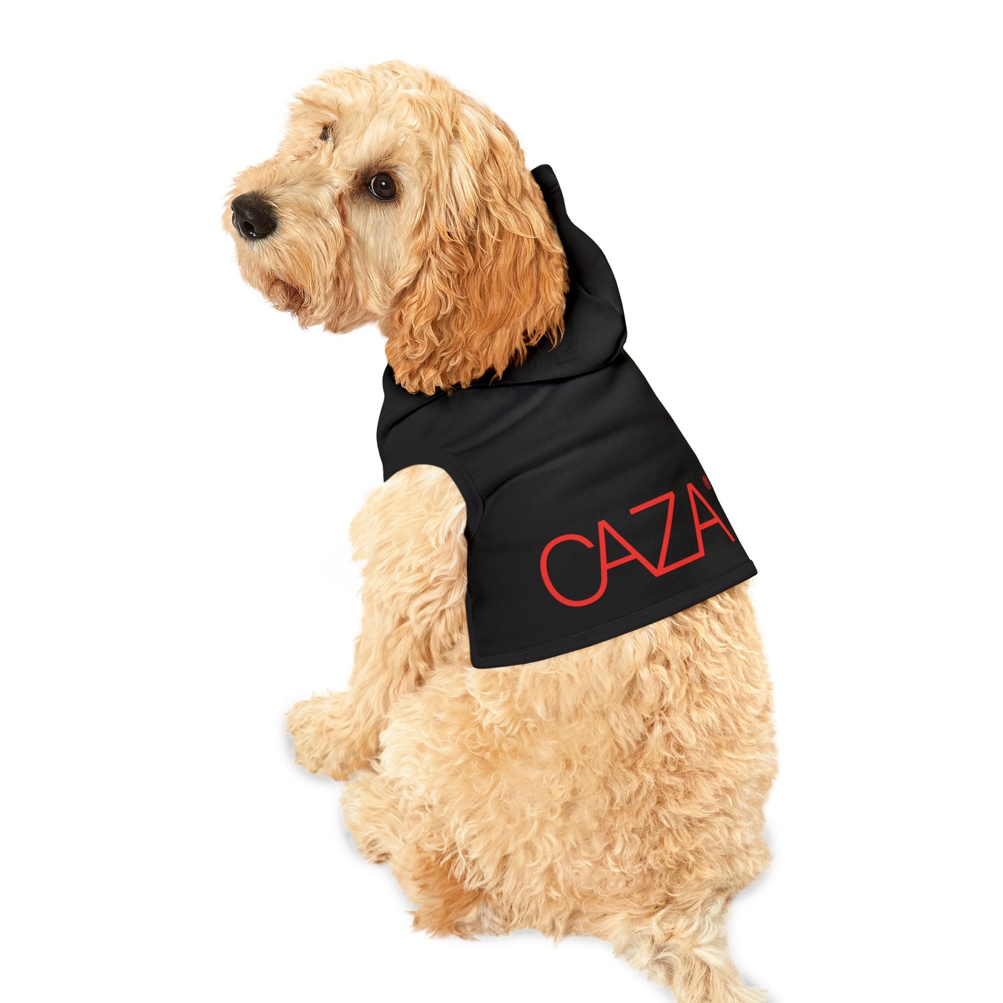 Pet Hoodie (Black)