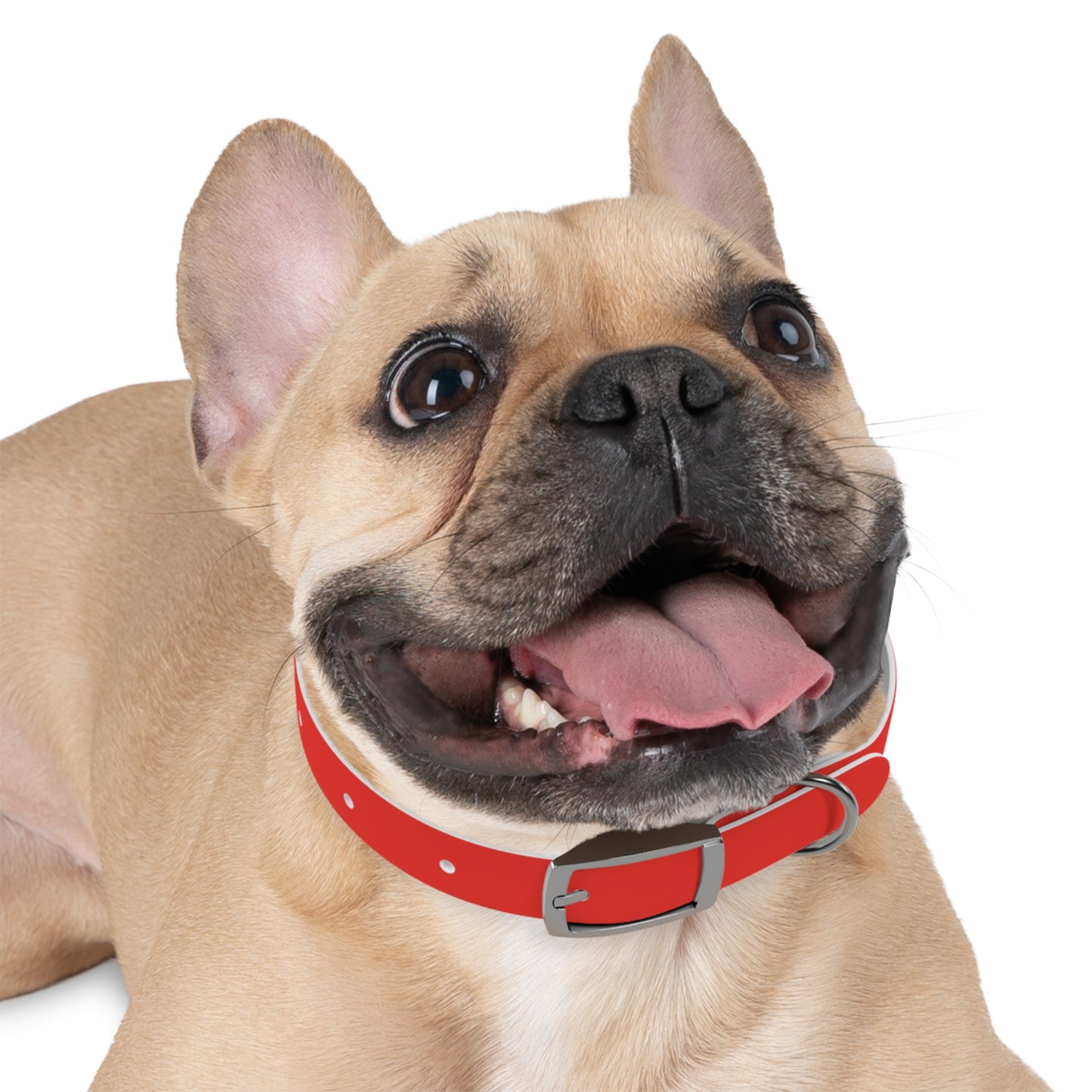 Dog Collar (Red)