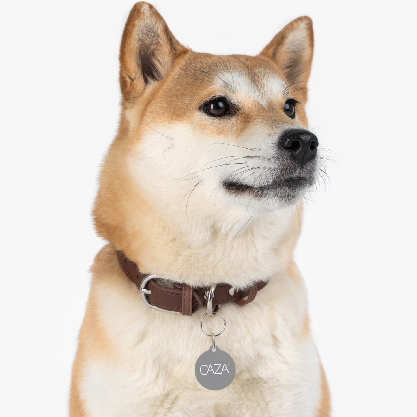 Pet Tag (Grey)