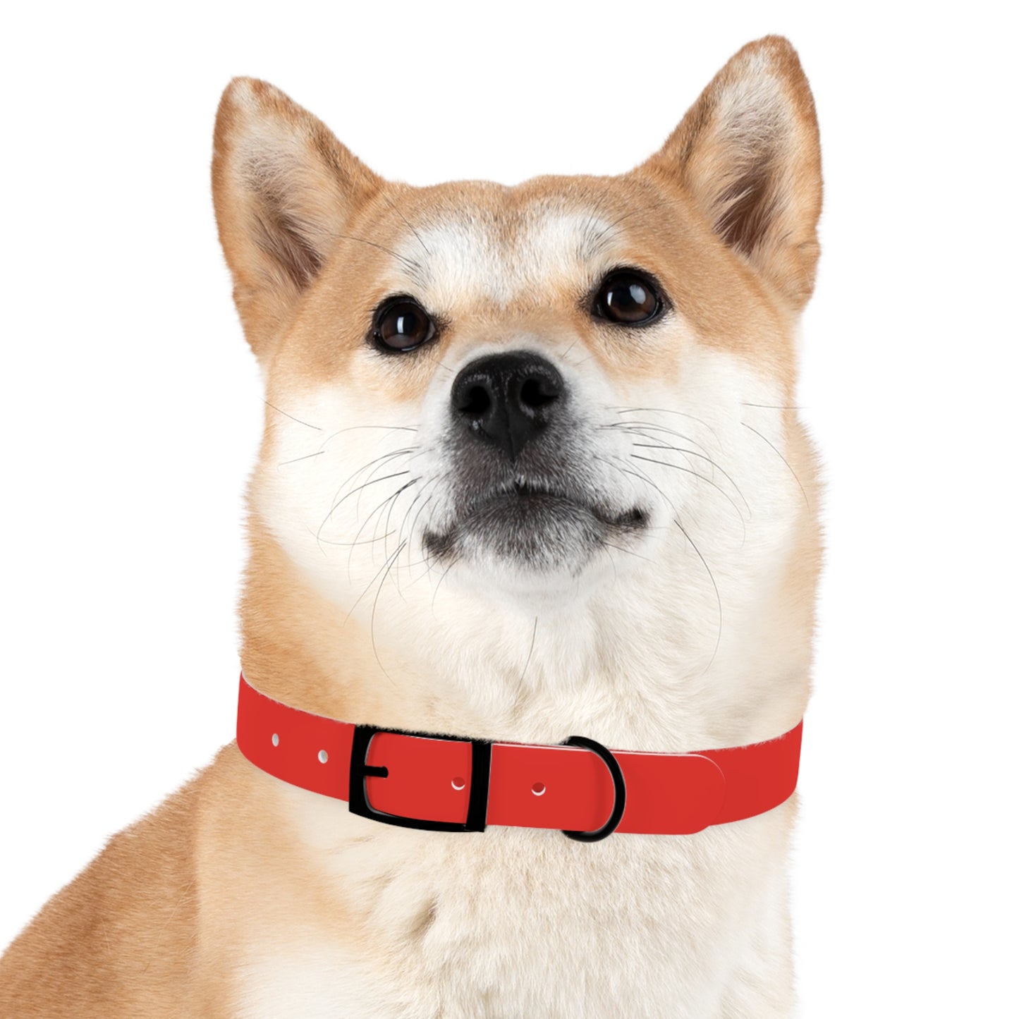 Dog Collar (Red)