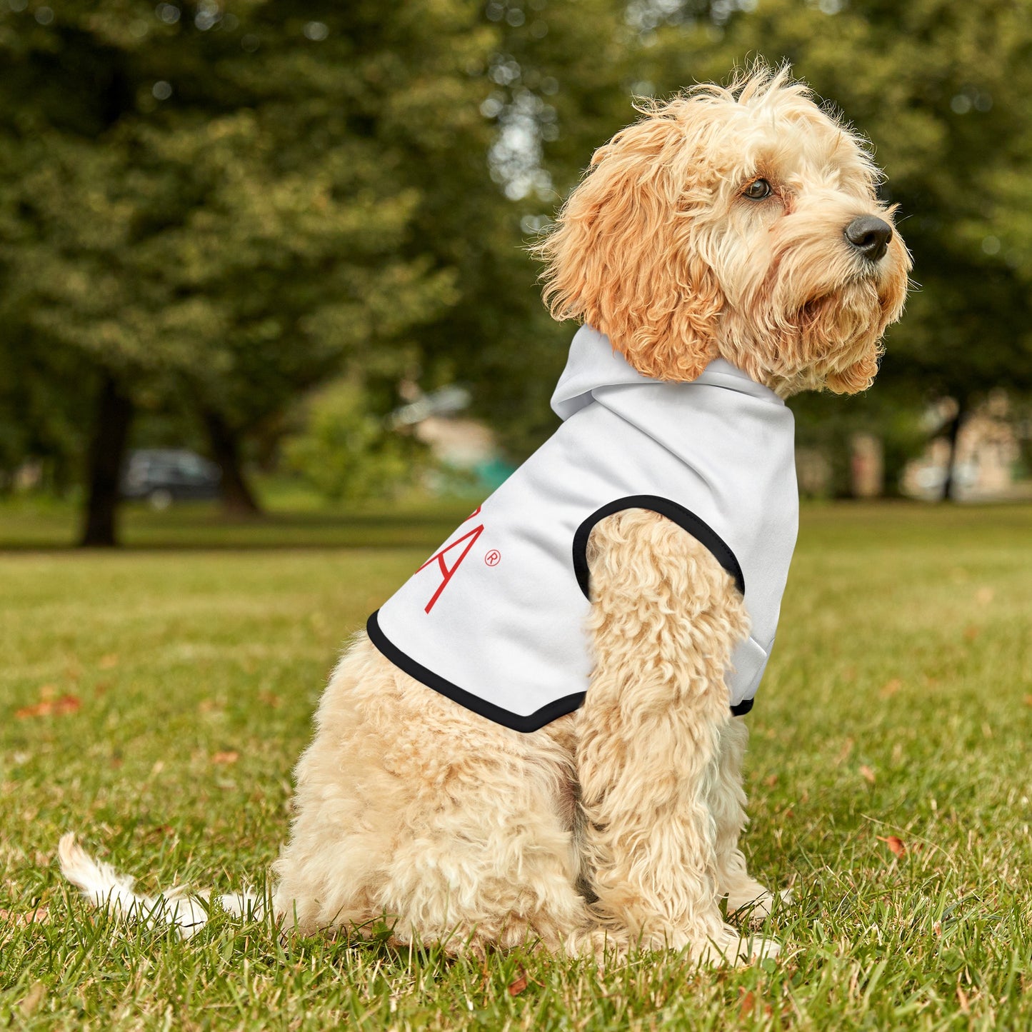 Pet Hoodie (White)
