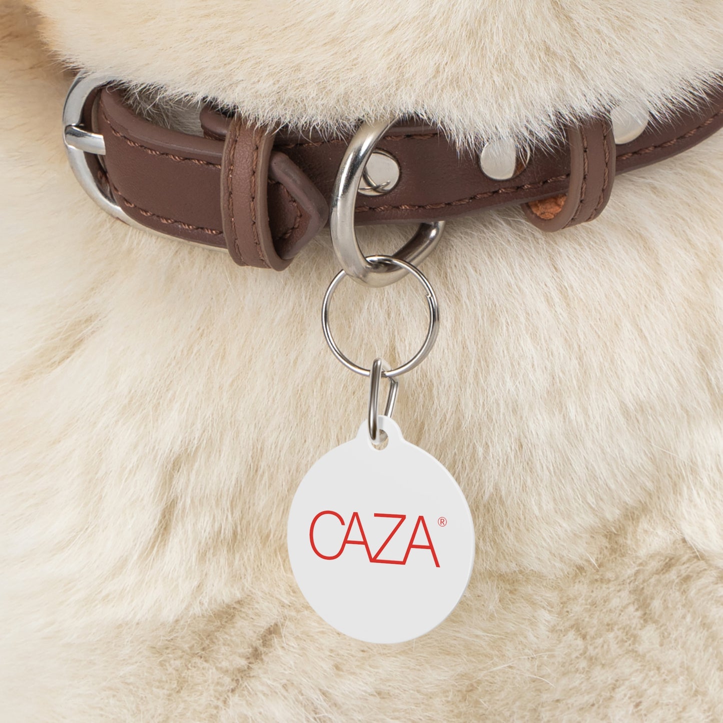 Pet Tag (White)