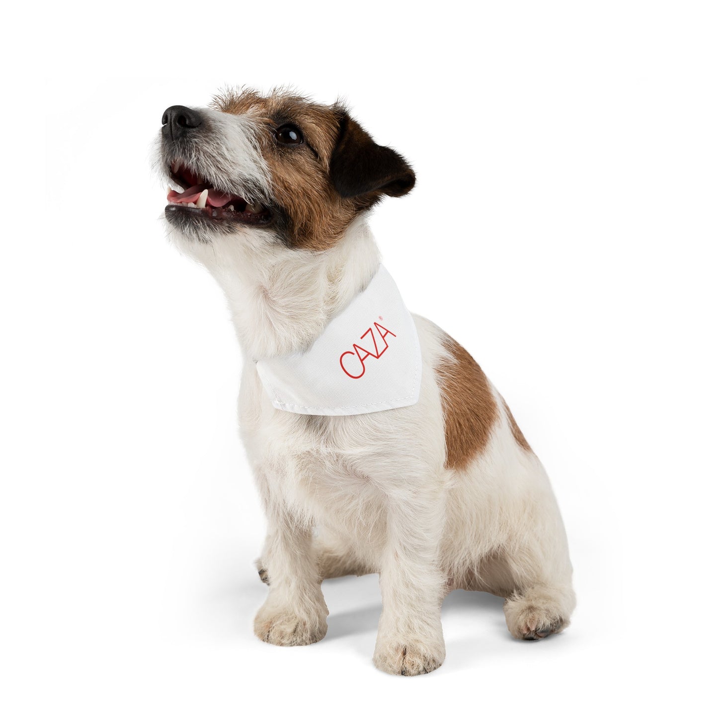 Pet Bandana Collar (White)