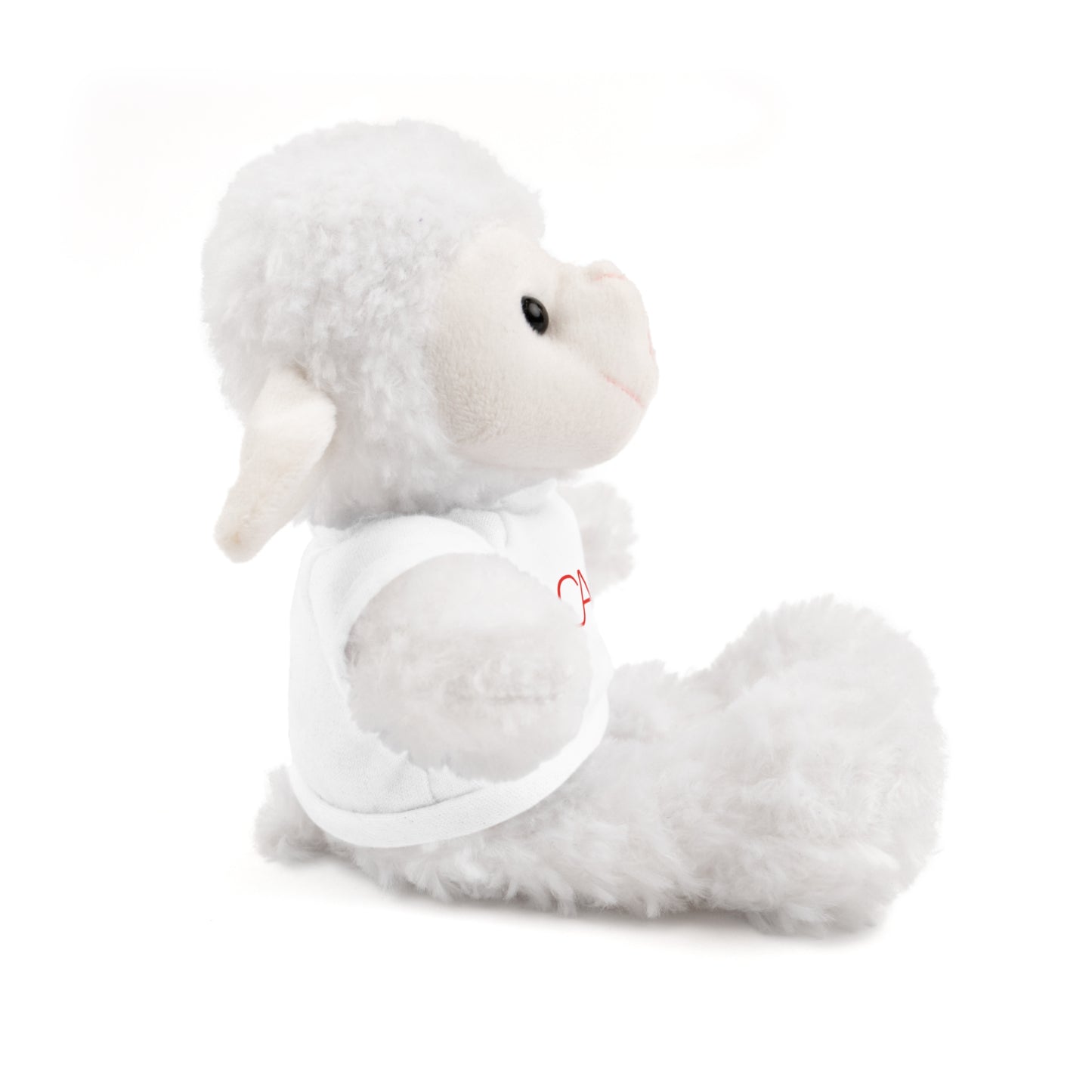 Stuffed Animals (6 Options)