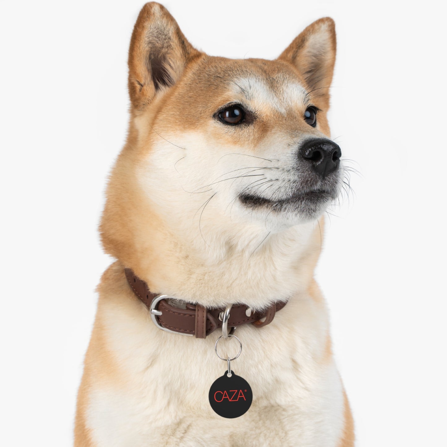 Pet Tag (Black)