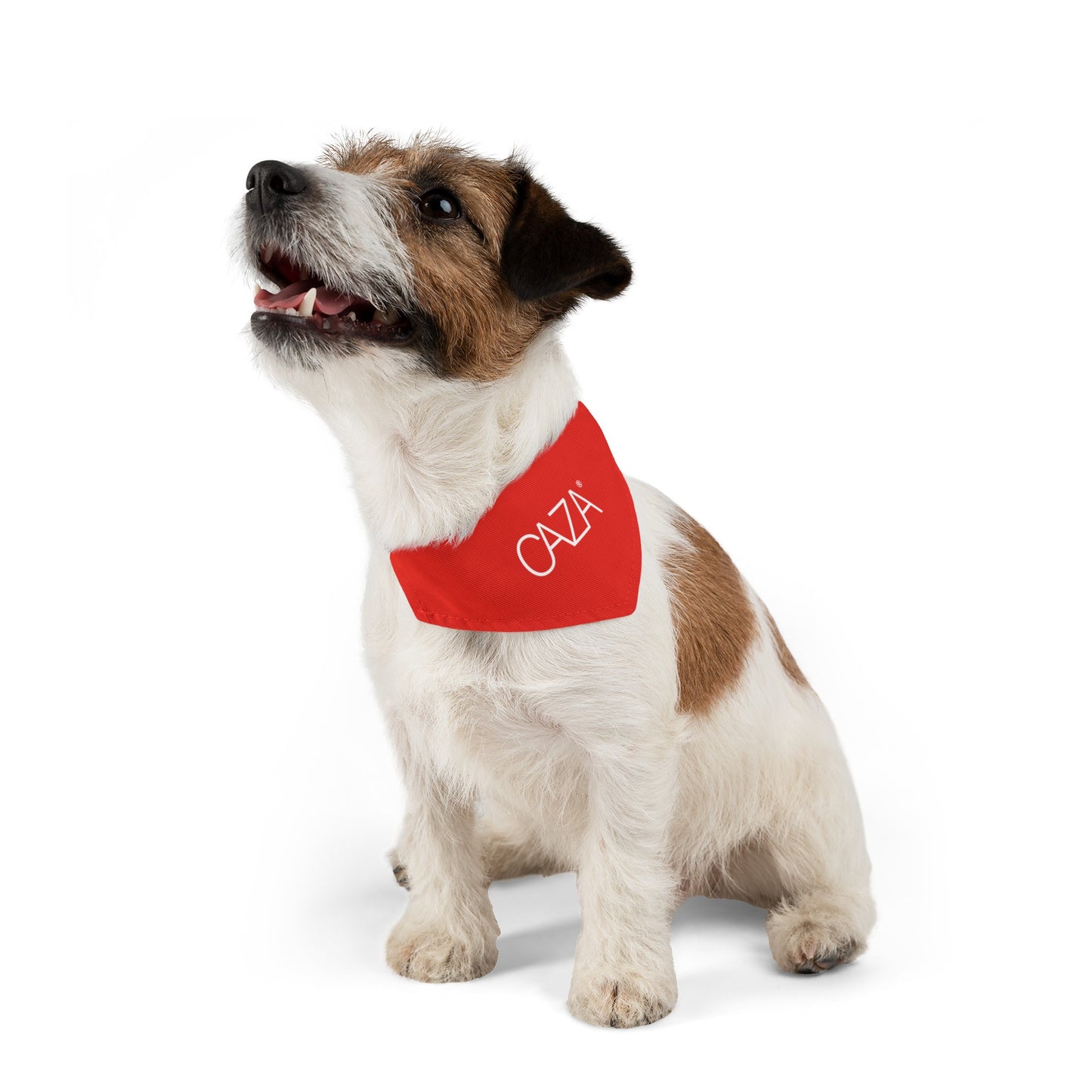 Pet Bandana Collar (Red)