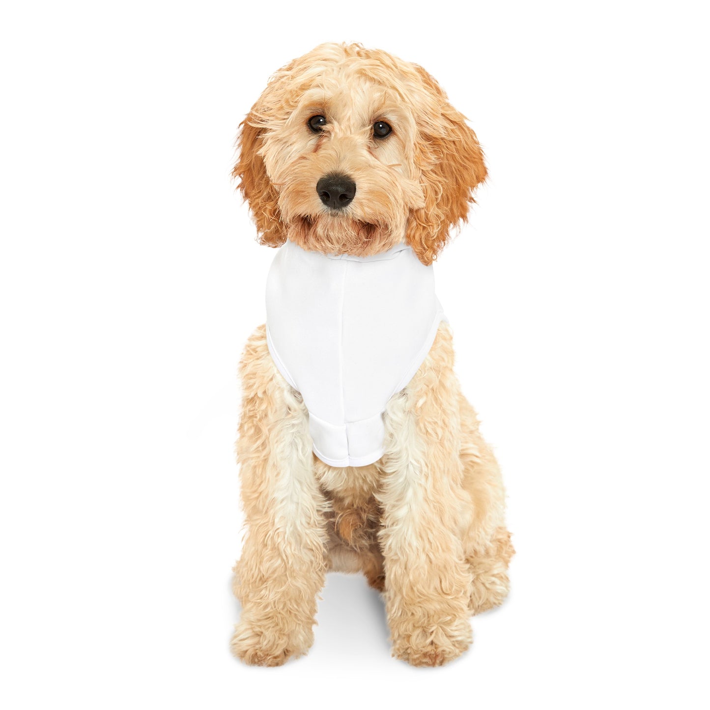 Pet Hoodie (White)