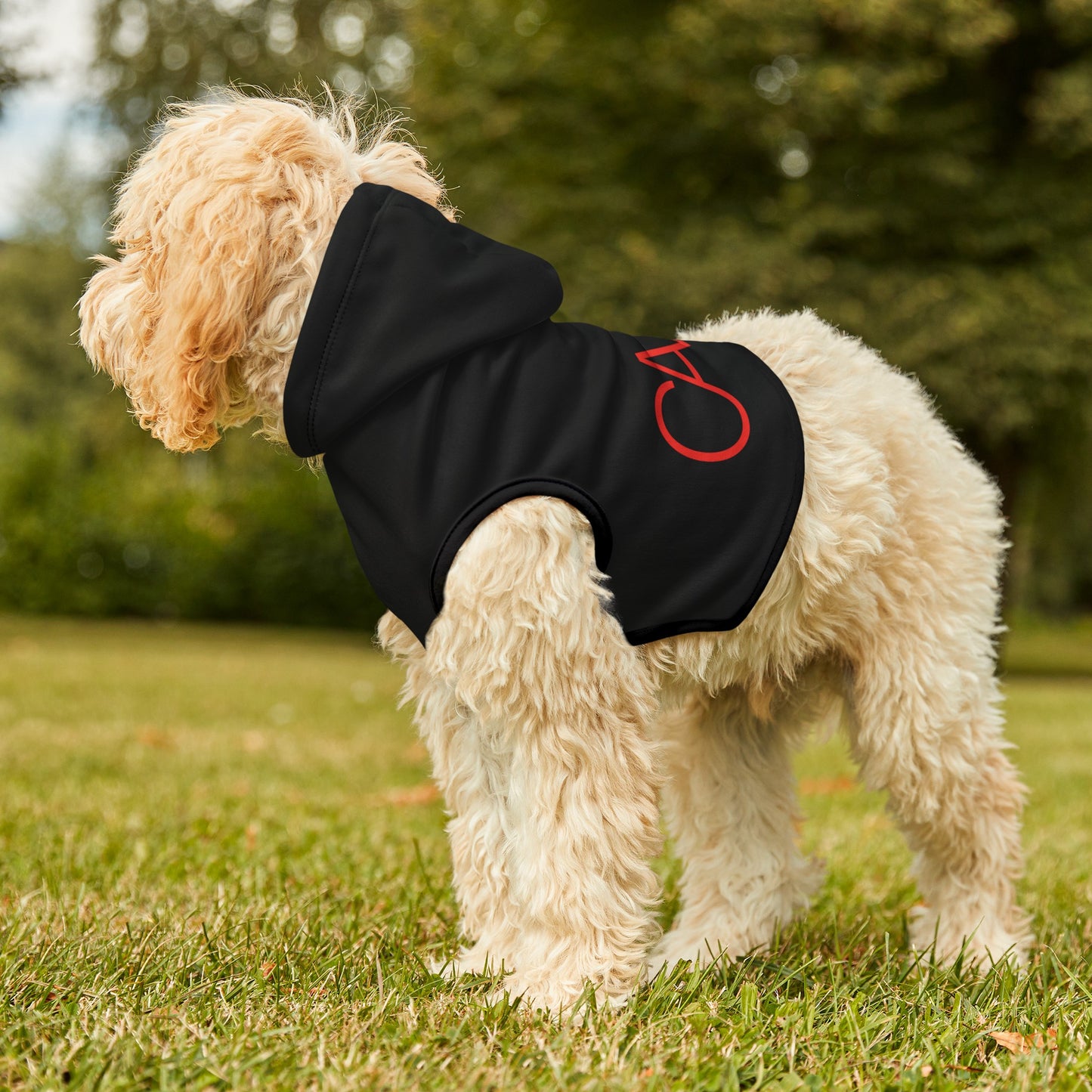 Pet Hoodie (Black)