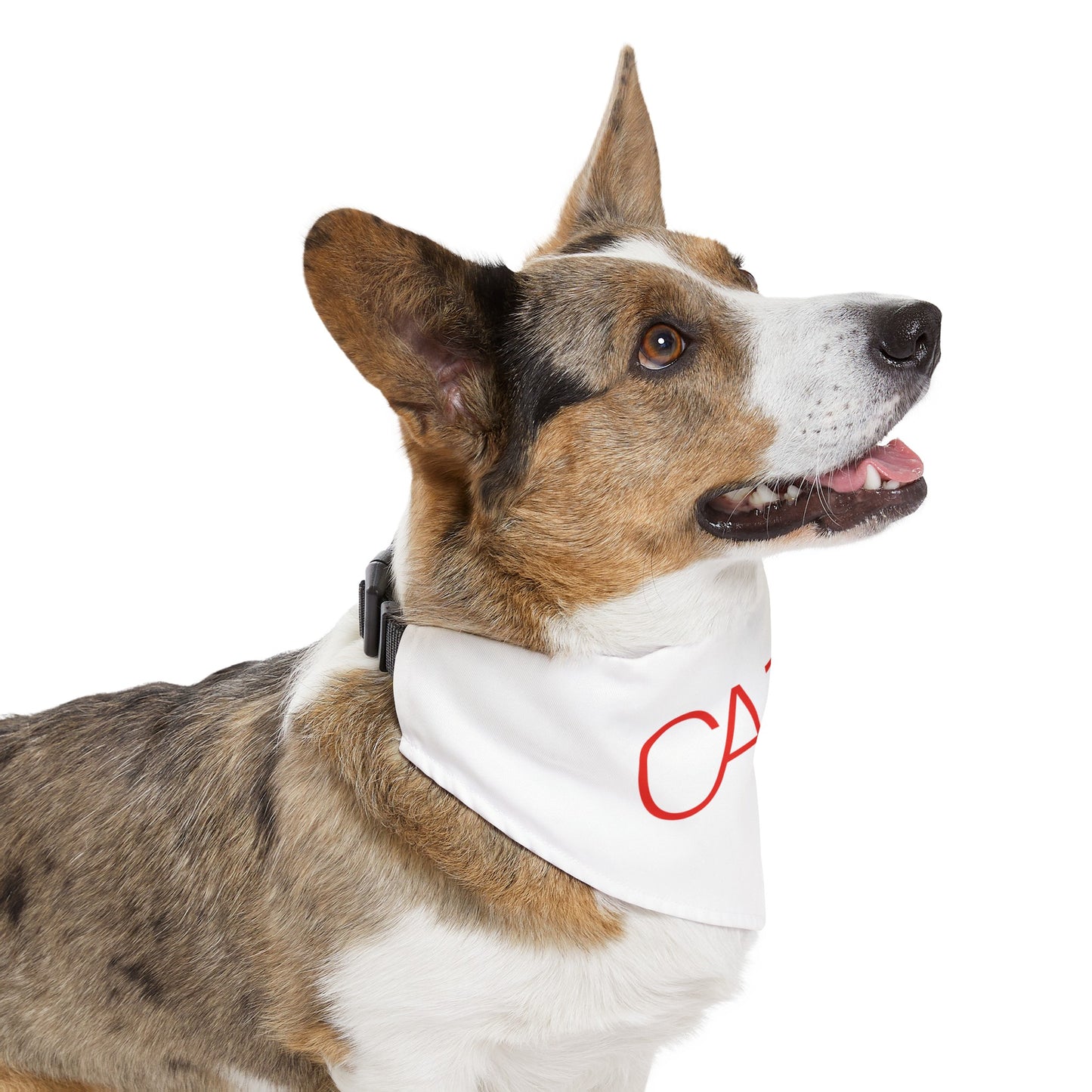 Pet Bandana Collar (White)