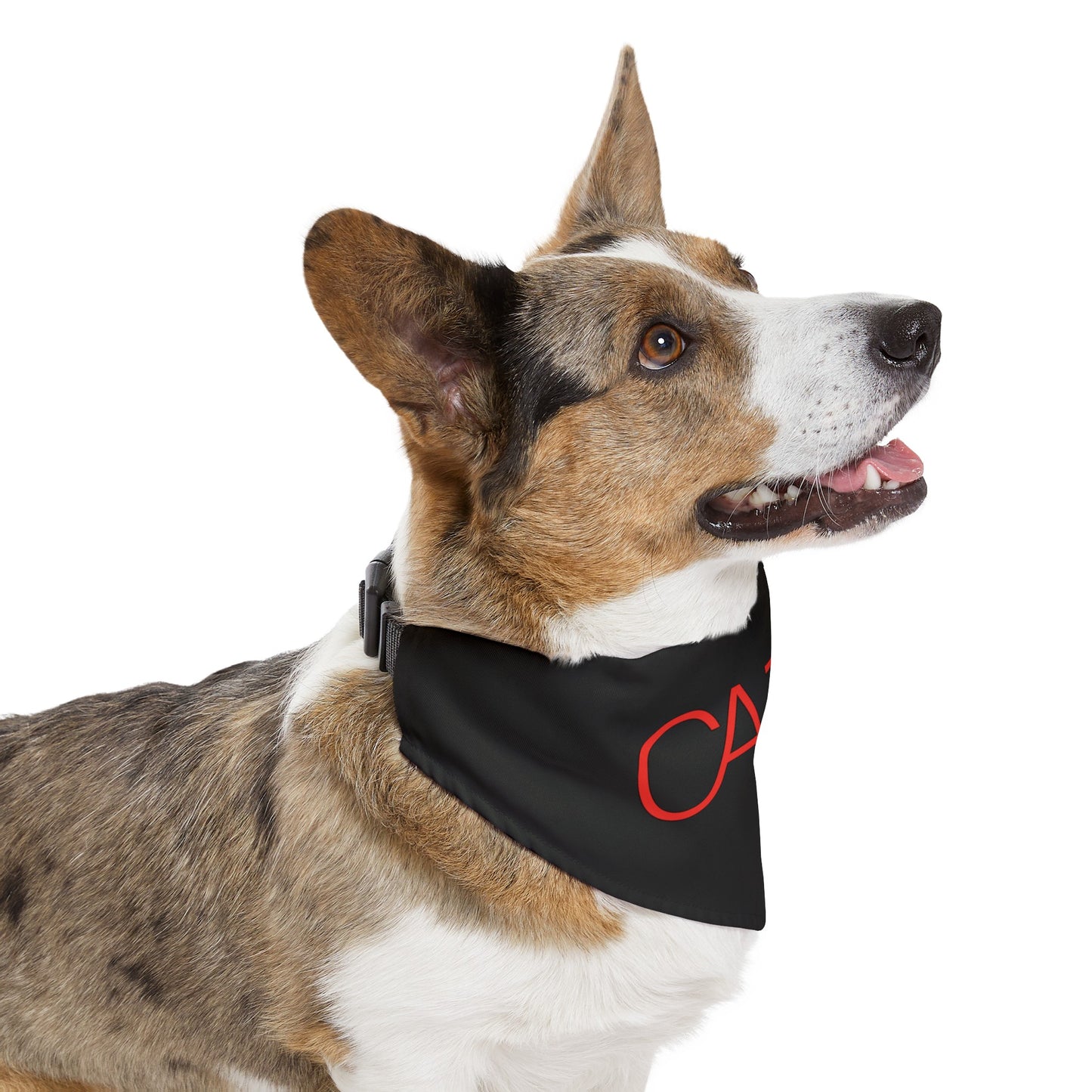 Pet Bandana Collar (Black)