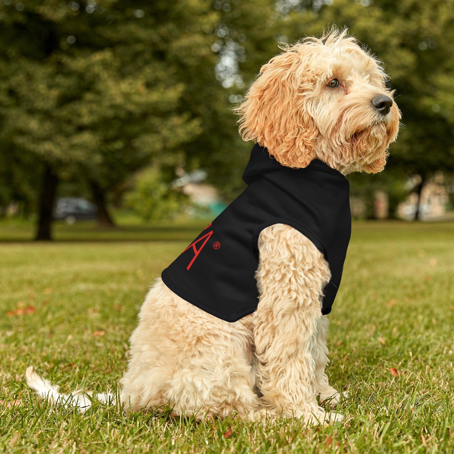 Pet Hoodie (Black)