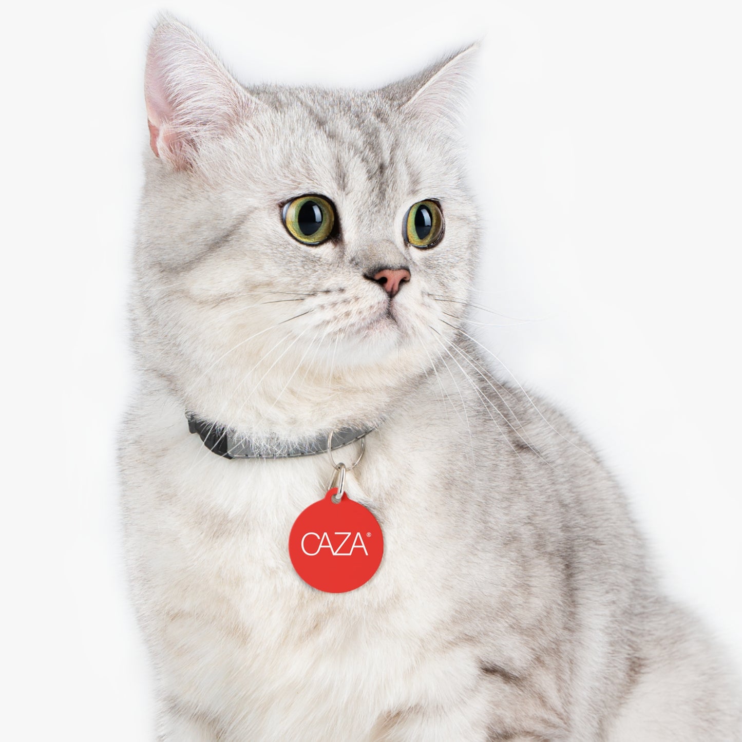 Pet Tag (Red)
