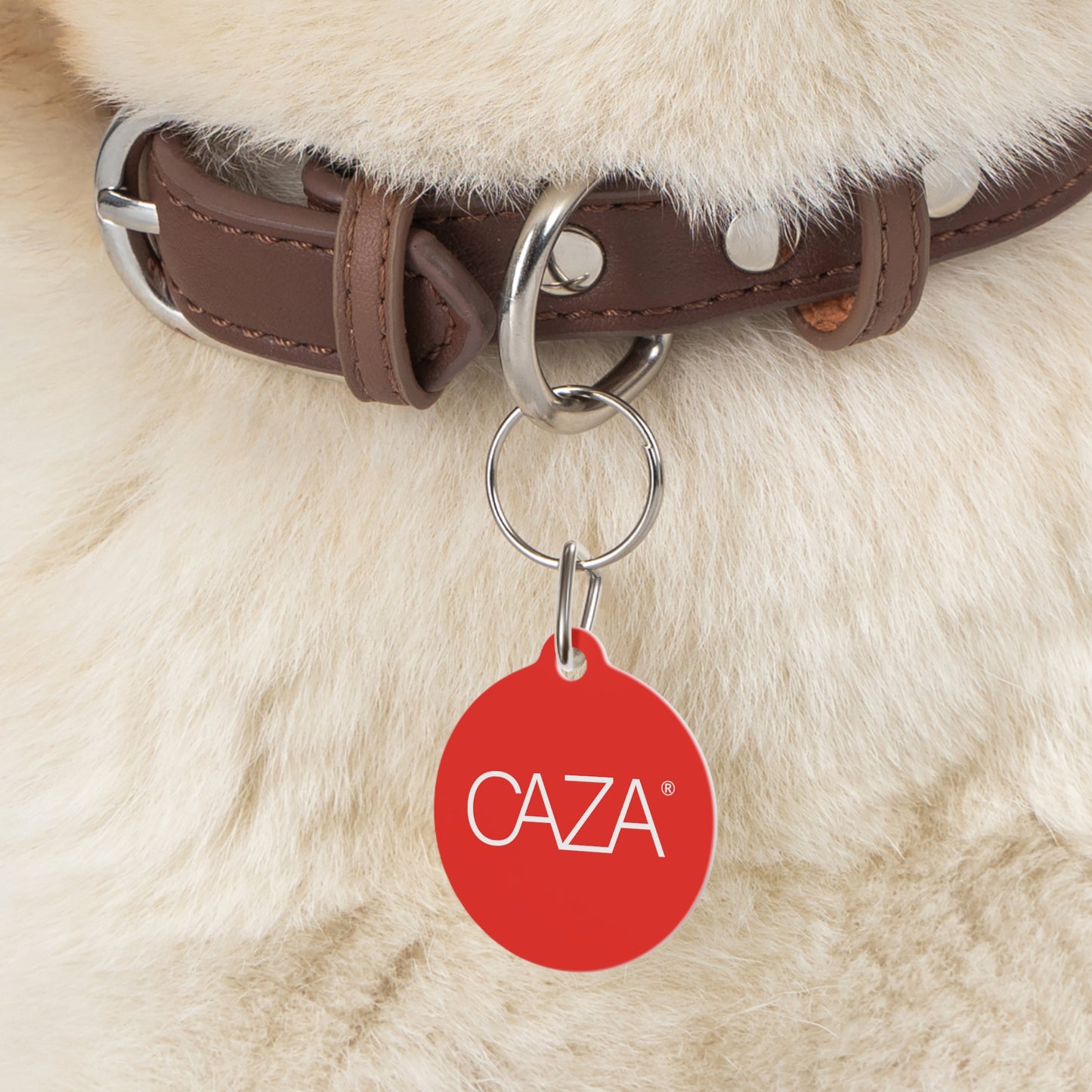 Pet Tag (Red)