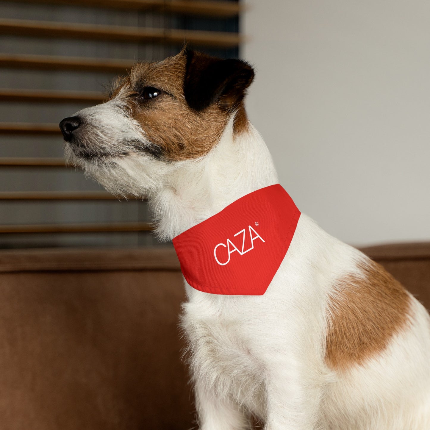 Pet Bandana Collar (Red)
