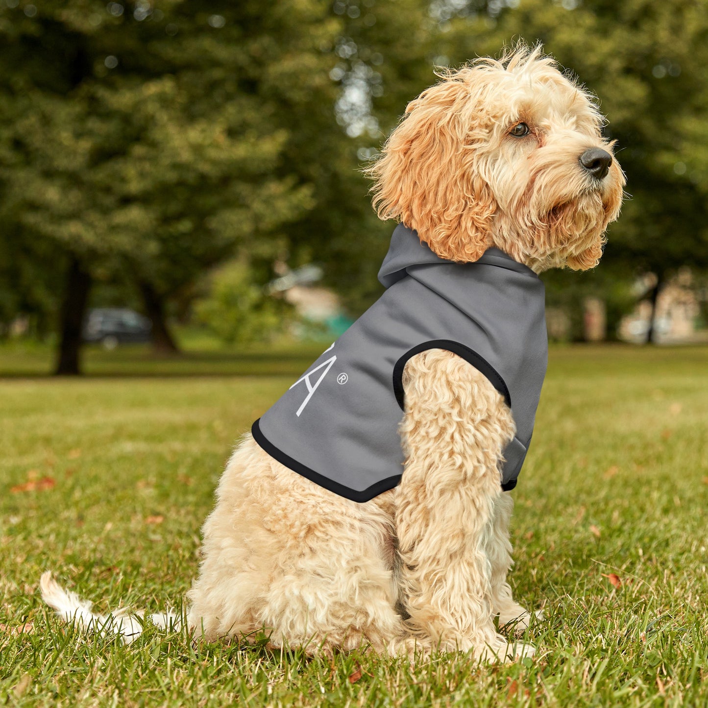 Pet Hoodie (Grey)