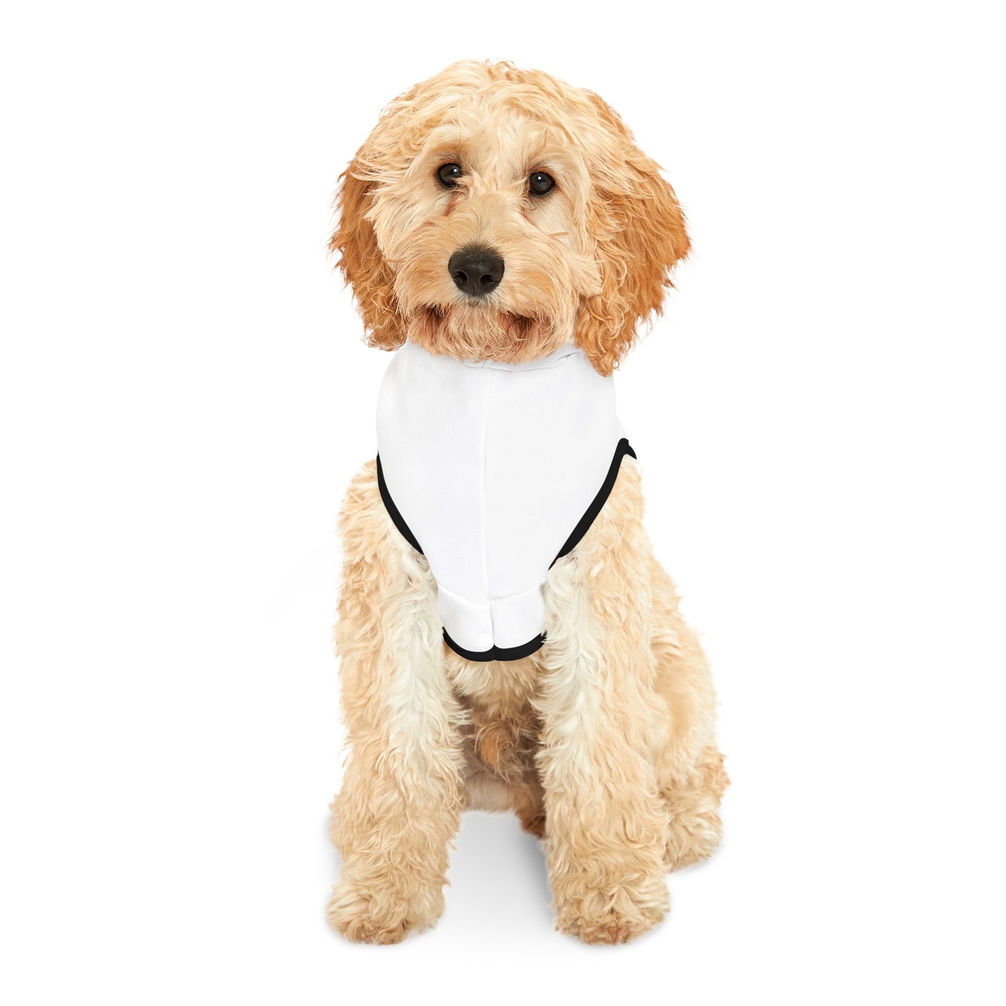 Pet Hoodie (White)