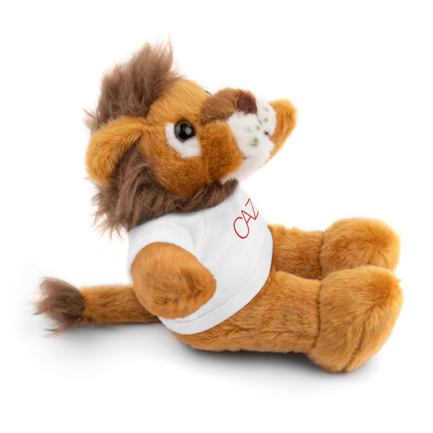 Stuffed Animals (6 Options)
