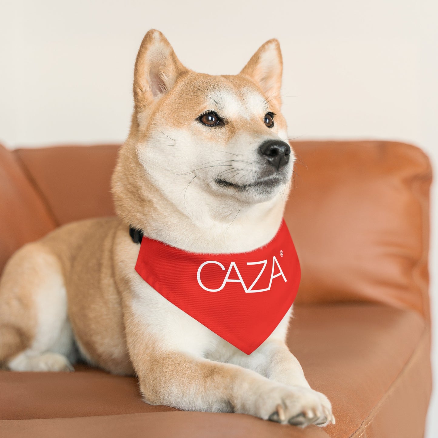 Pet Bandana Collar (Red)