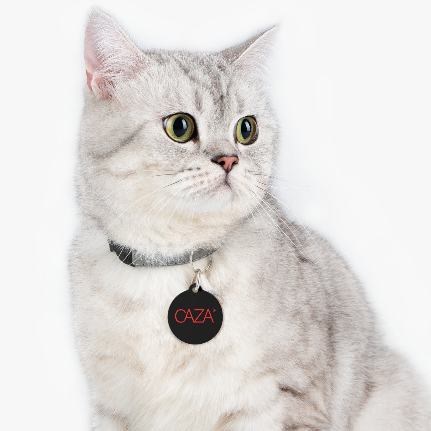 Pet Tag (Black)