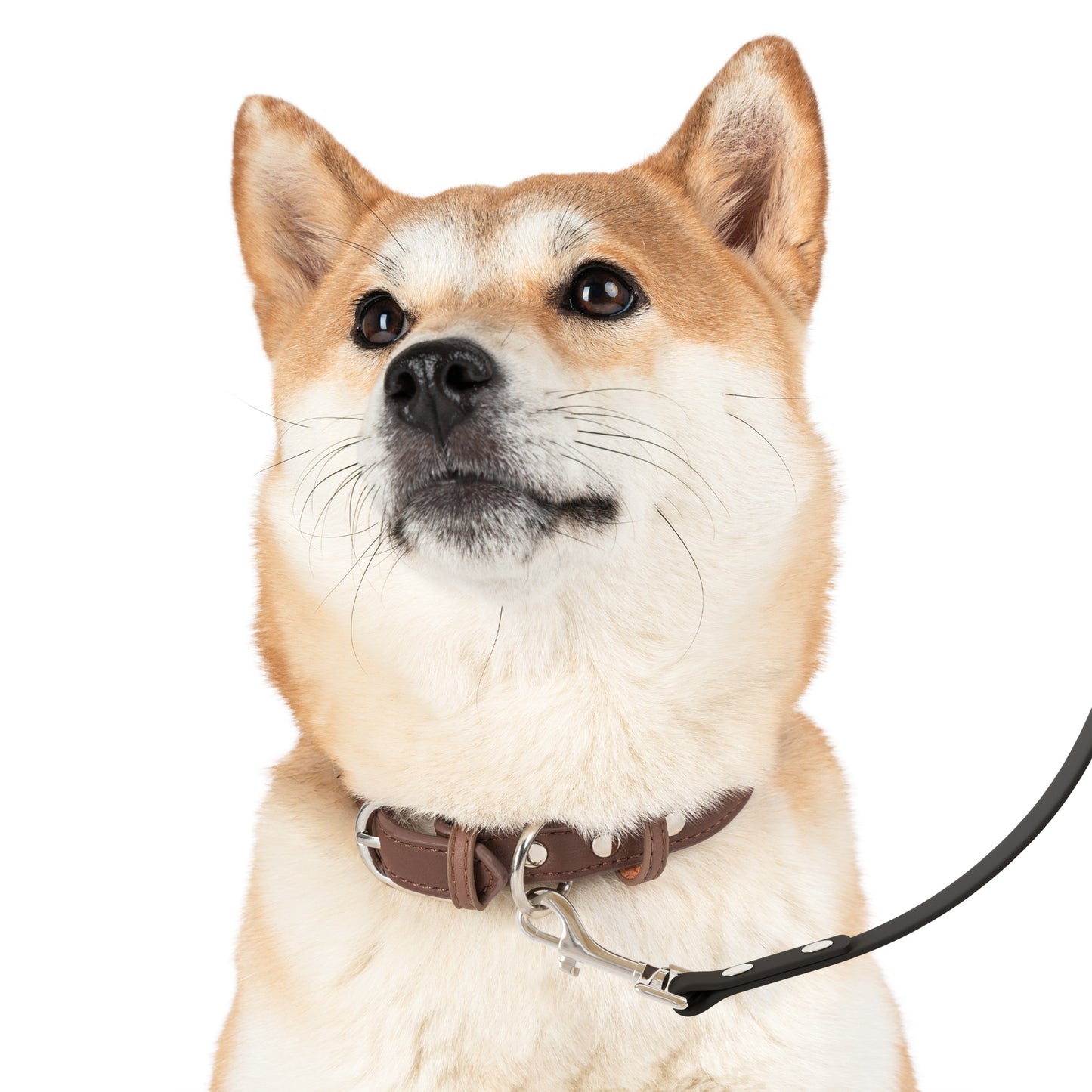 Leash (White Handle)