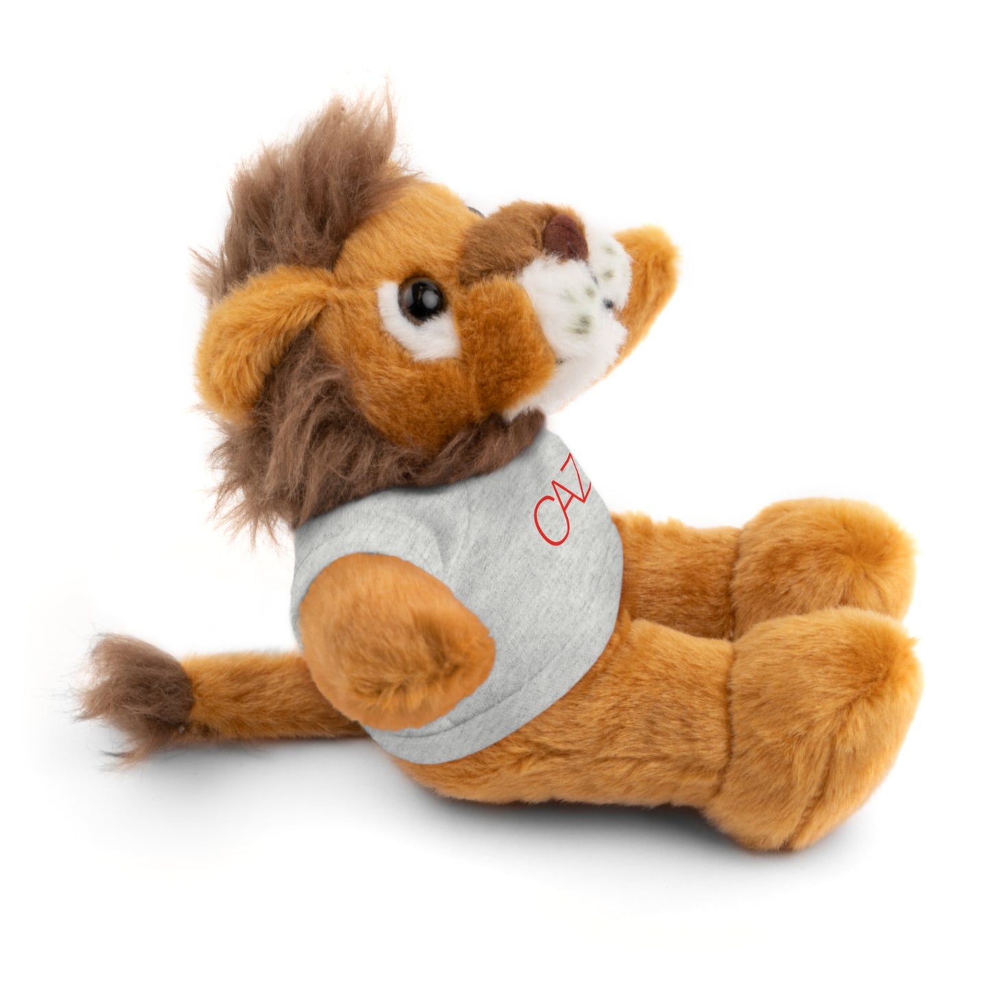 Stuffed Animals (6 Options)