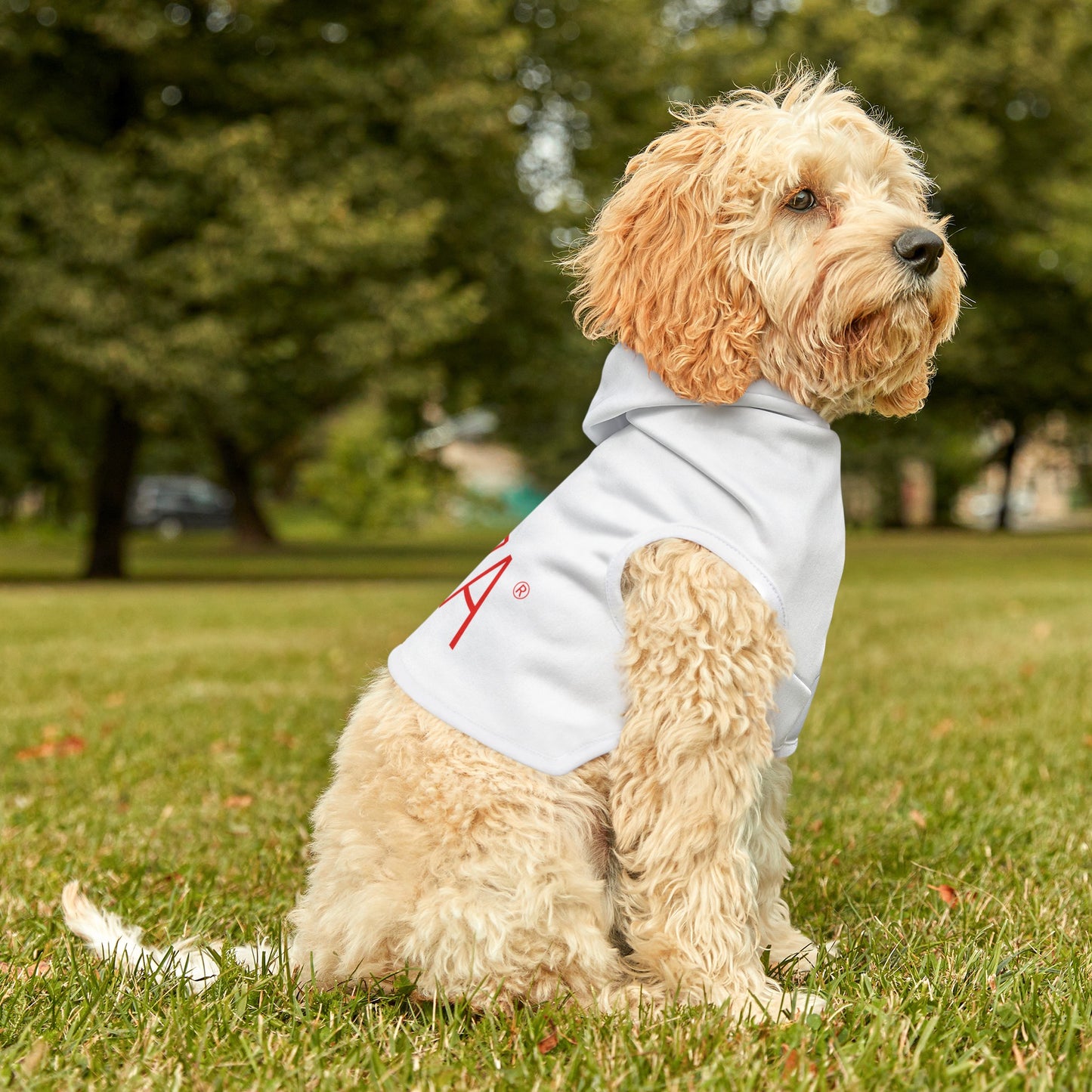 Pet Hoodie (White)