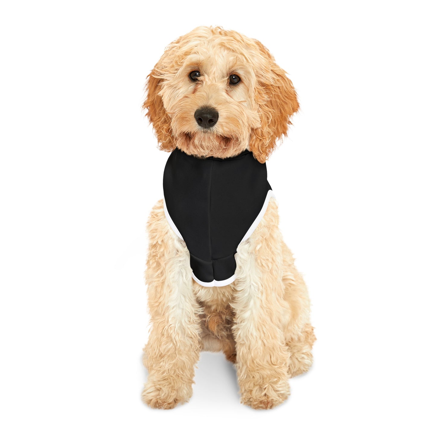 Pet Hoodie (Black)