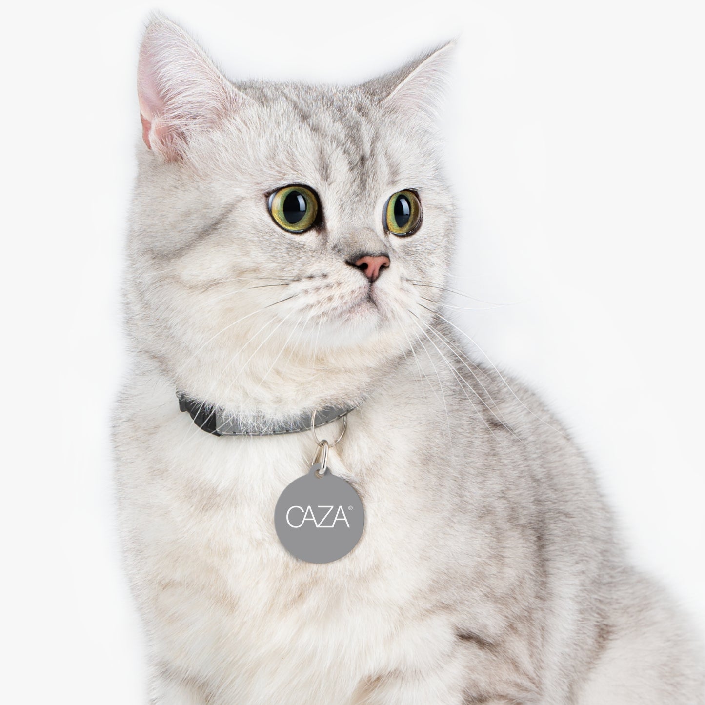 Pet Tag (Grey)