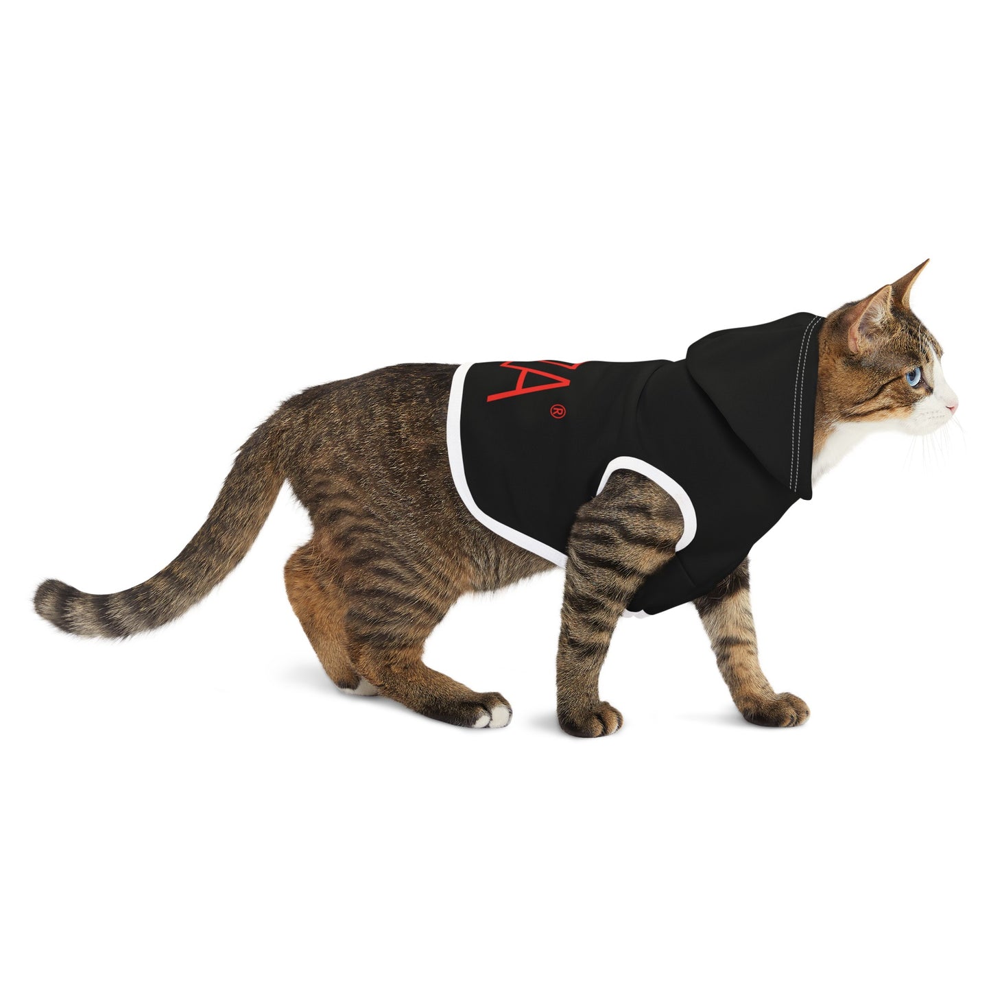 Pet Hoodie (Black)