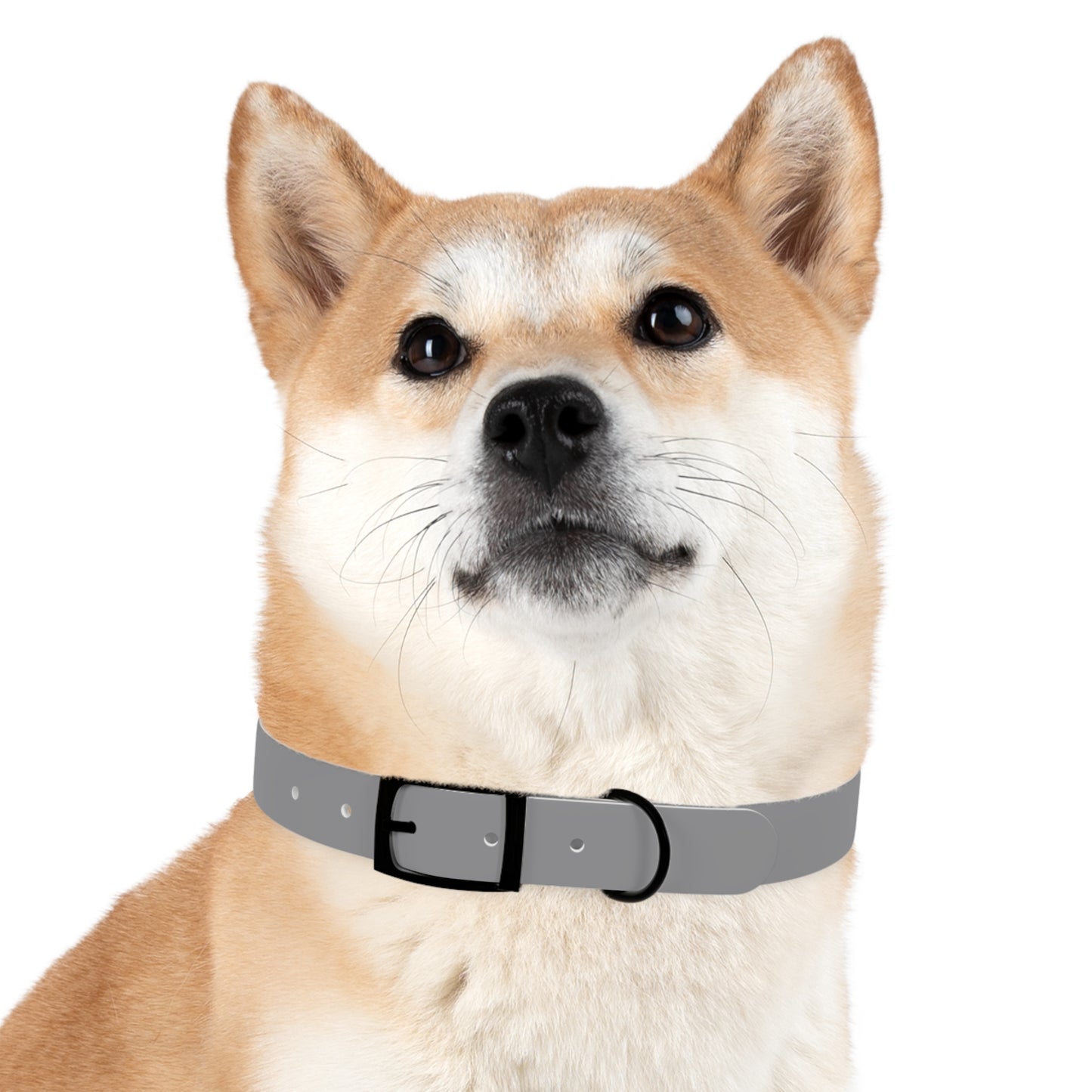 Dog Collar (Grey)