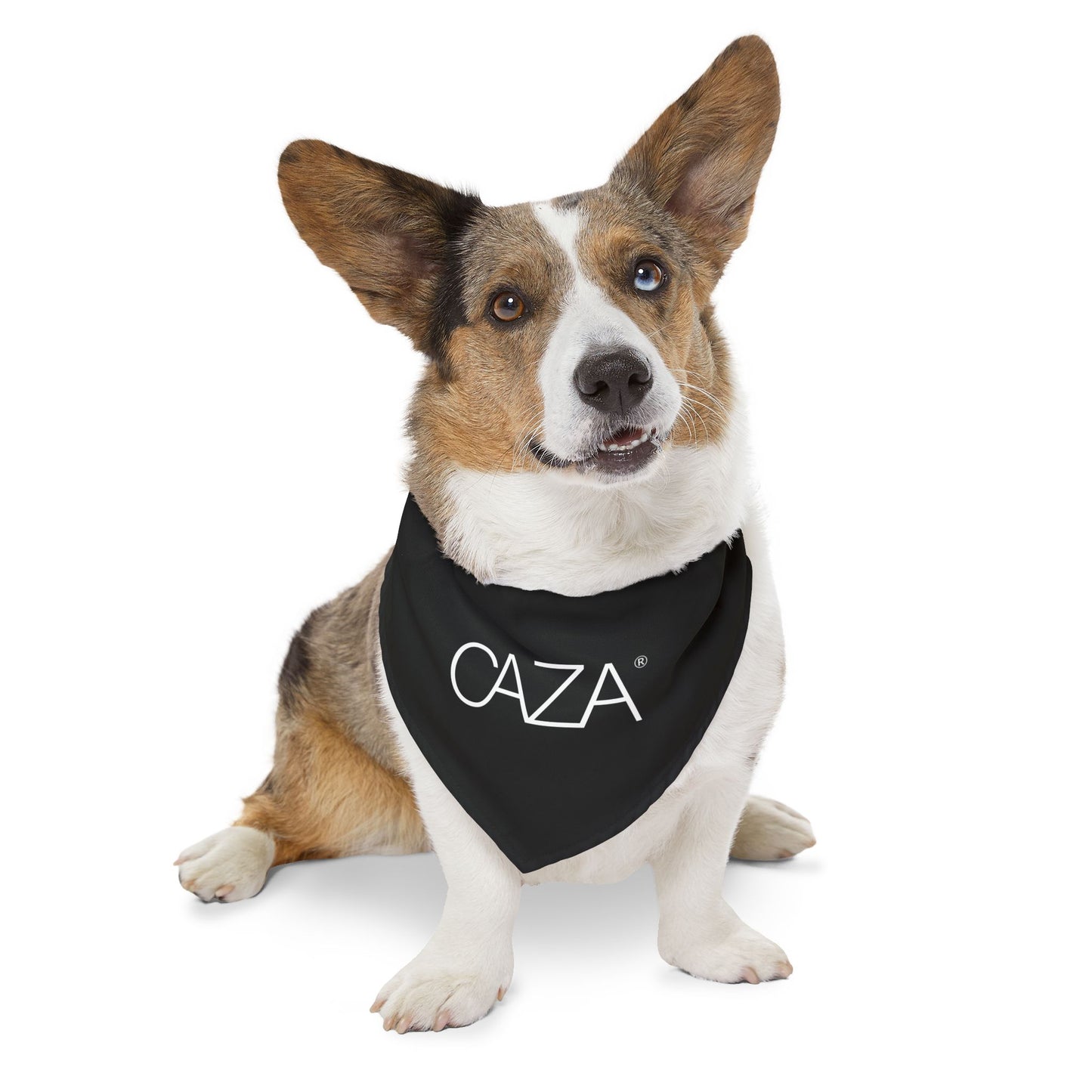 Pet Bandana Collar (Black)