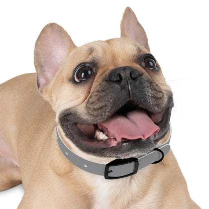Dog Collar (Grey)