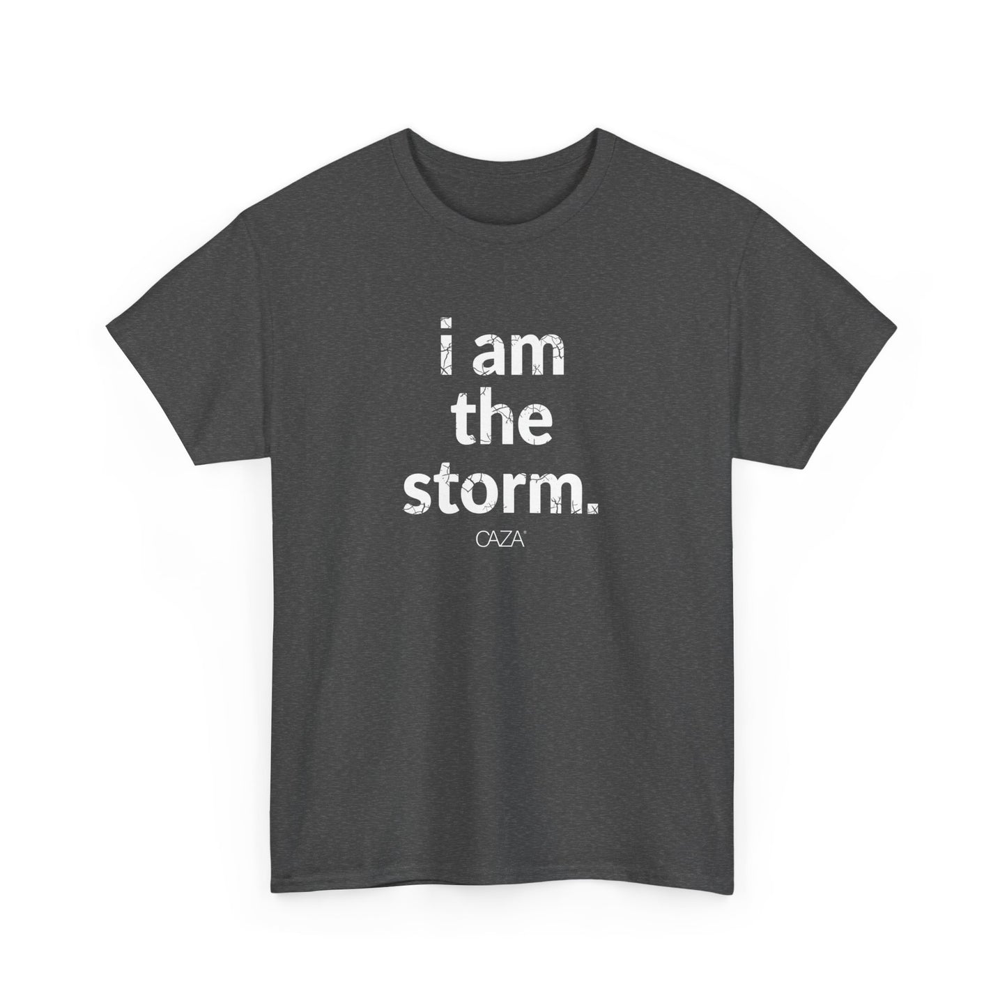 I am the storm | Unisex Tee