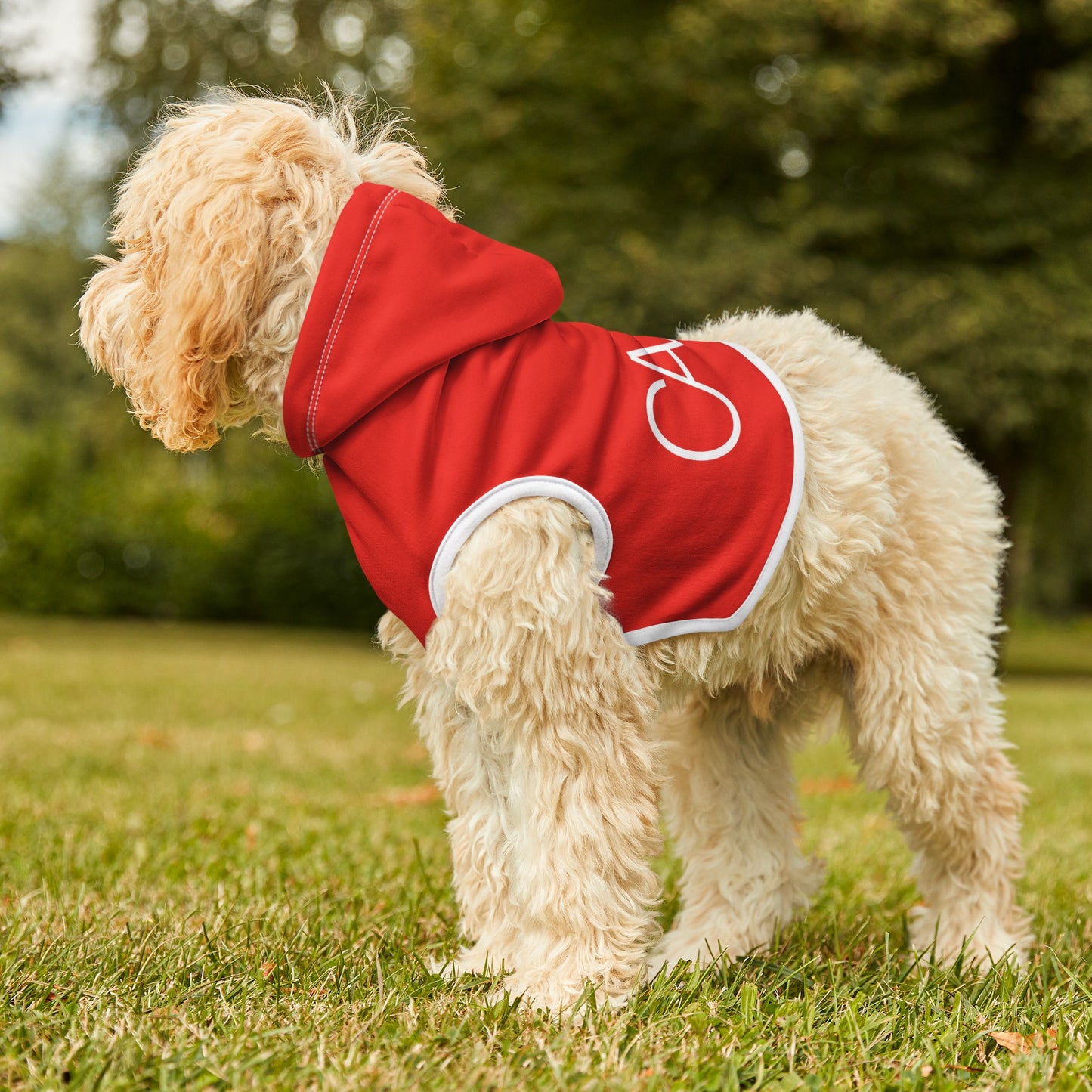 Pet Hoodie (Red)