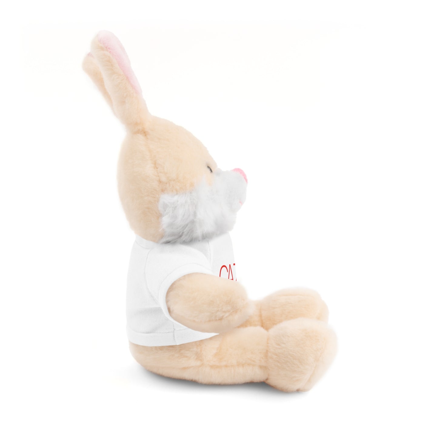 Stuffed Animals (6 Options)