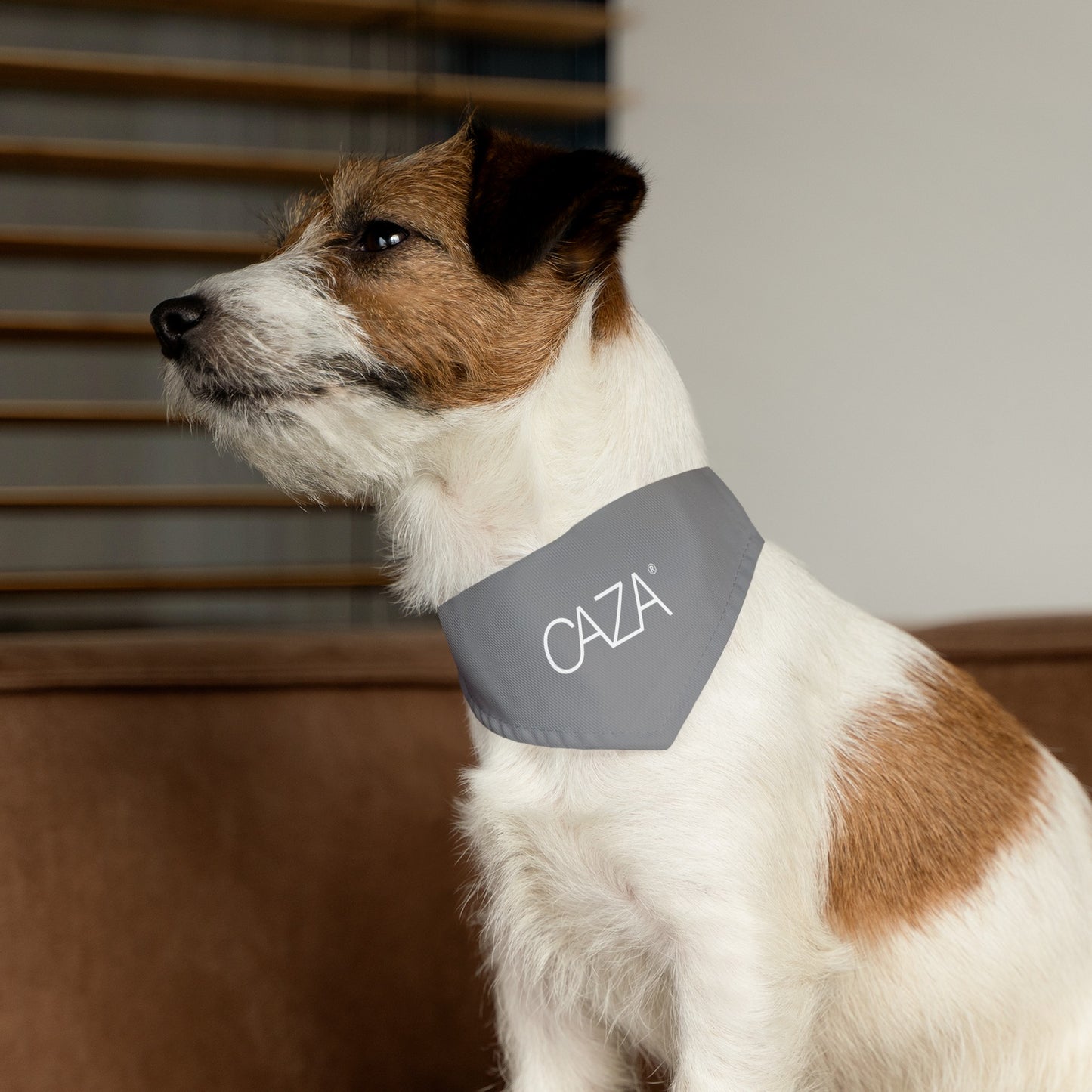 Pet Bandana Collar (Grey)