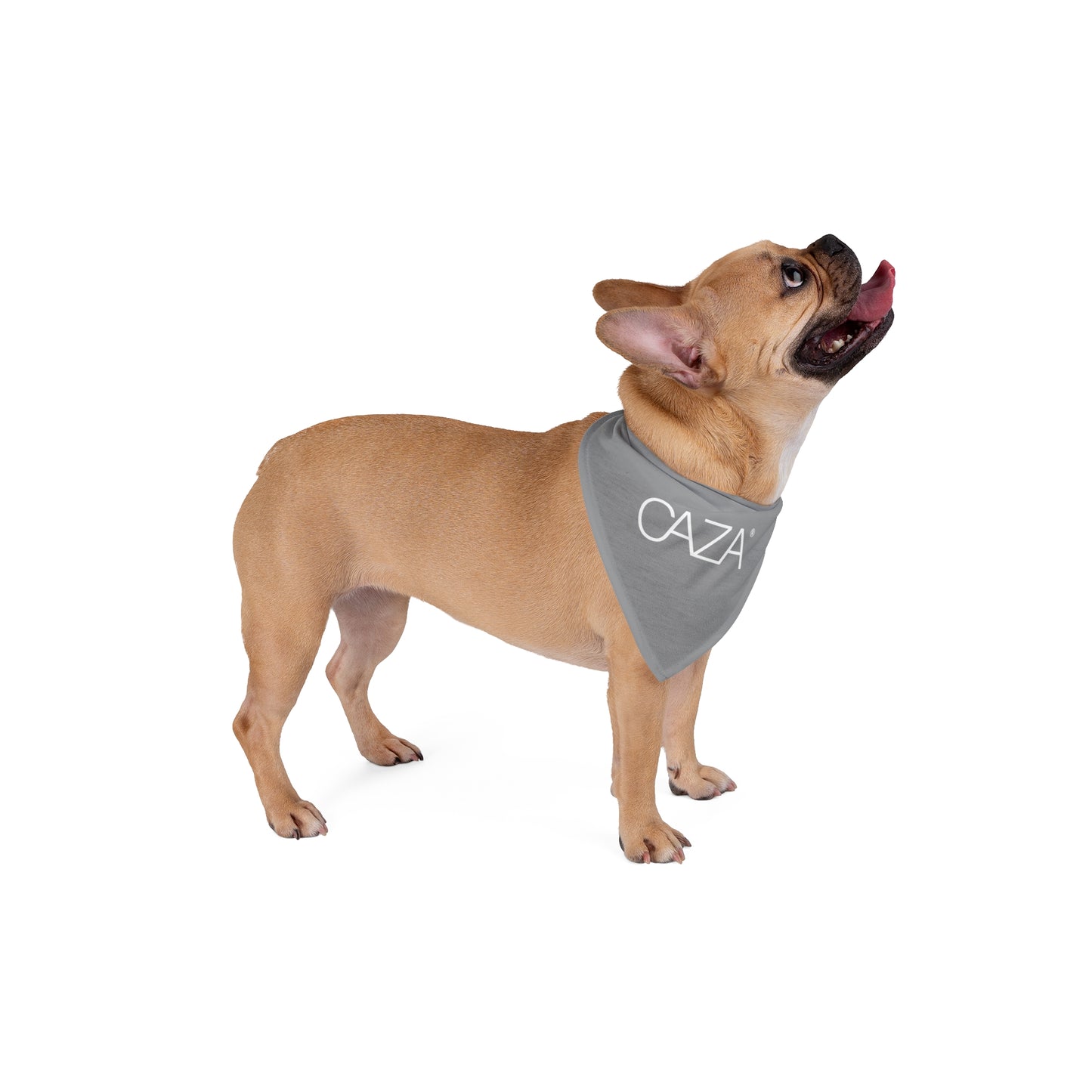 Pet Bandana (Grey)