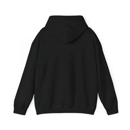STREAM | Unisex Heavy Blend™ Hooded Sweatshirt