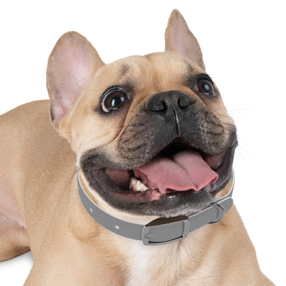 Dog Collar (Grey)