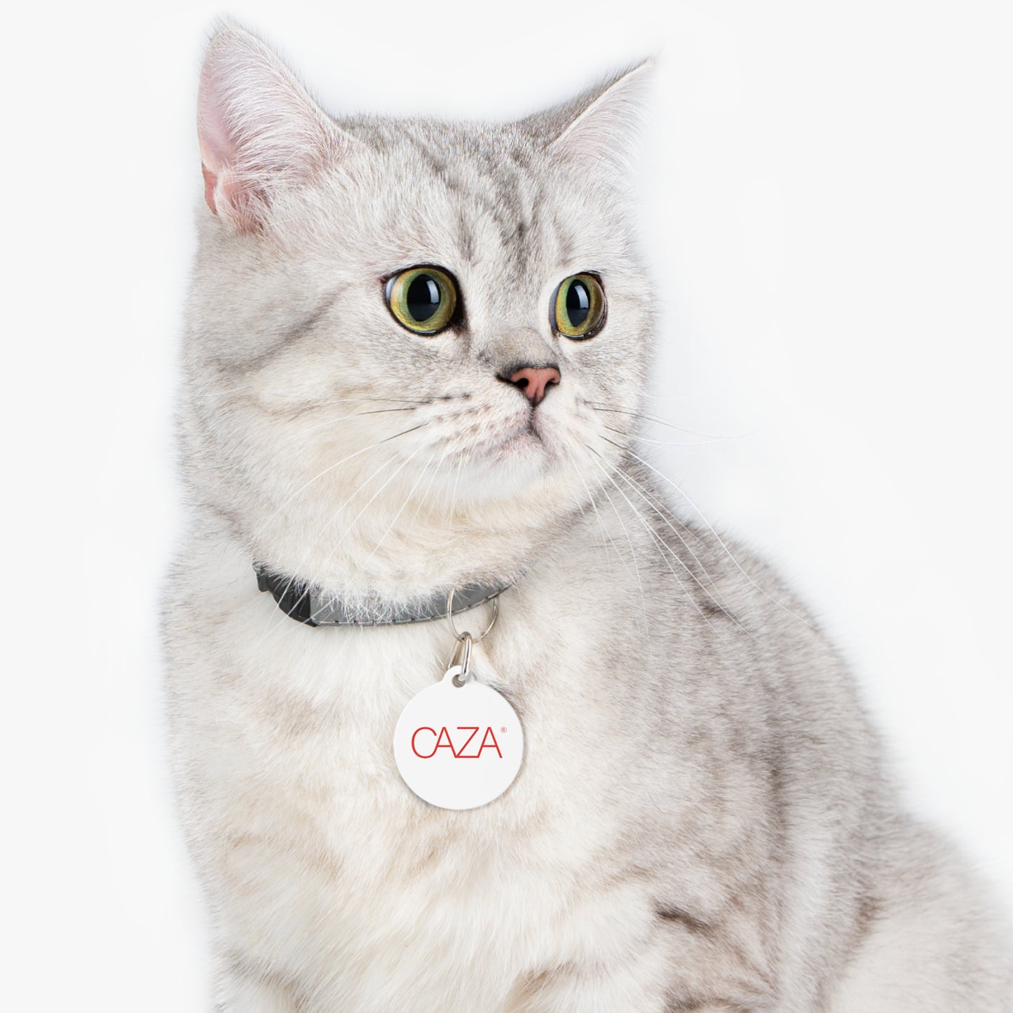 Pet Tag (White)