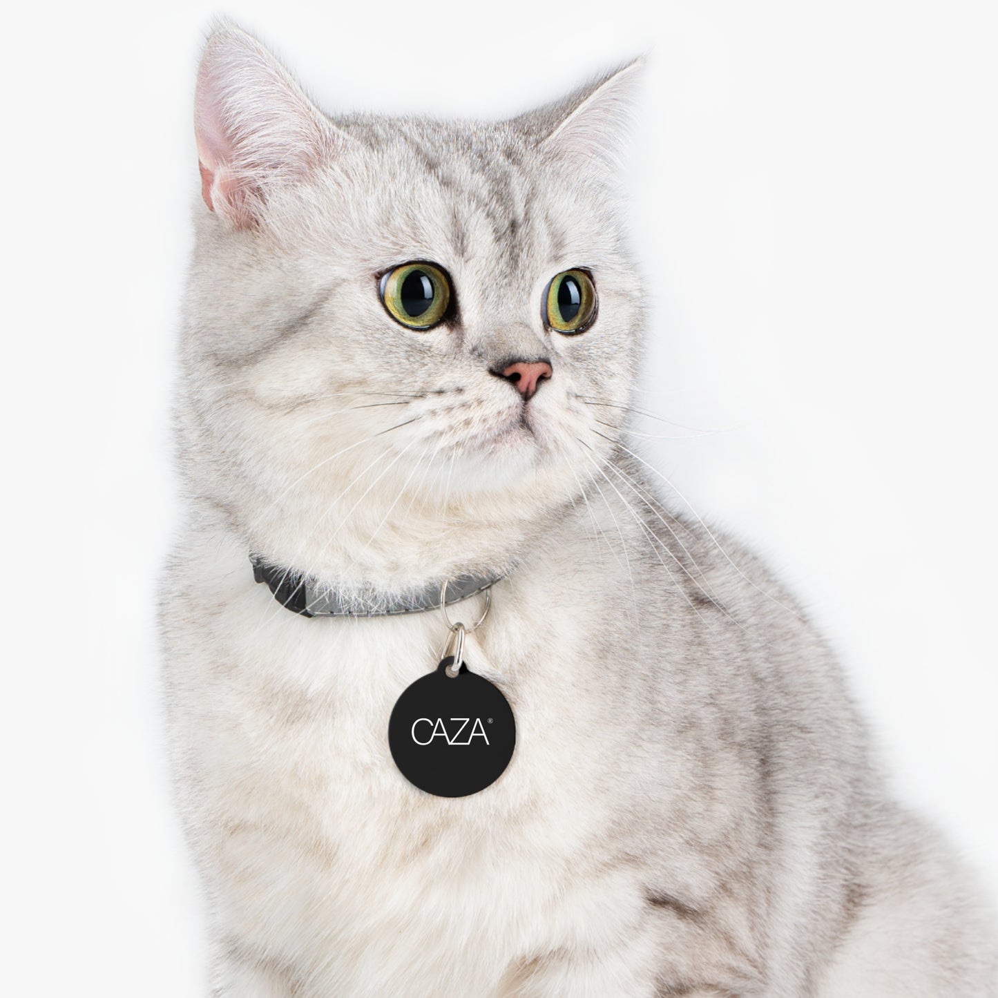 Pet Tag (Black)