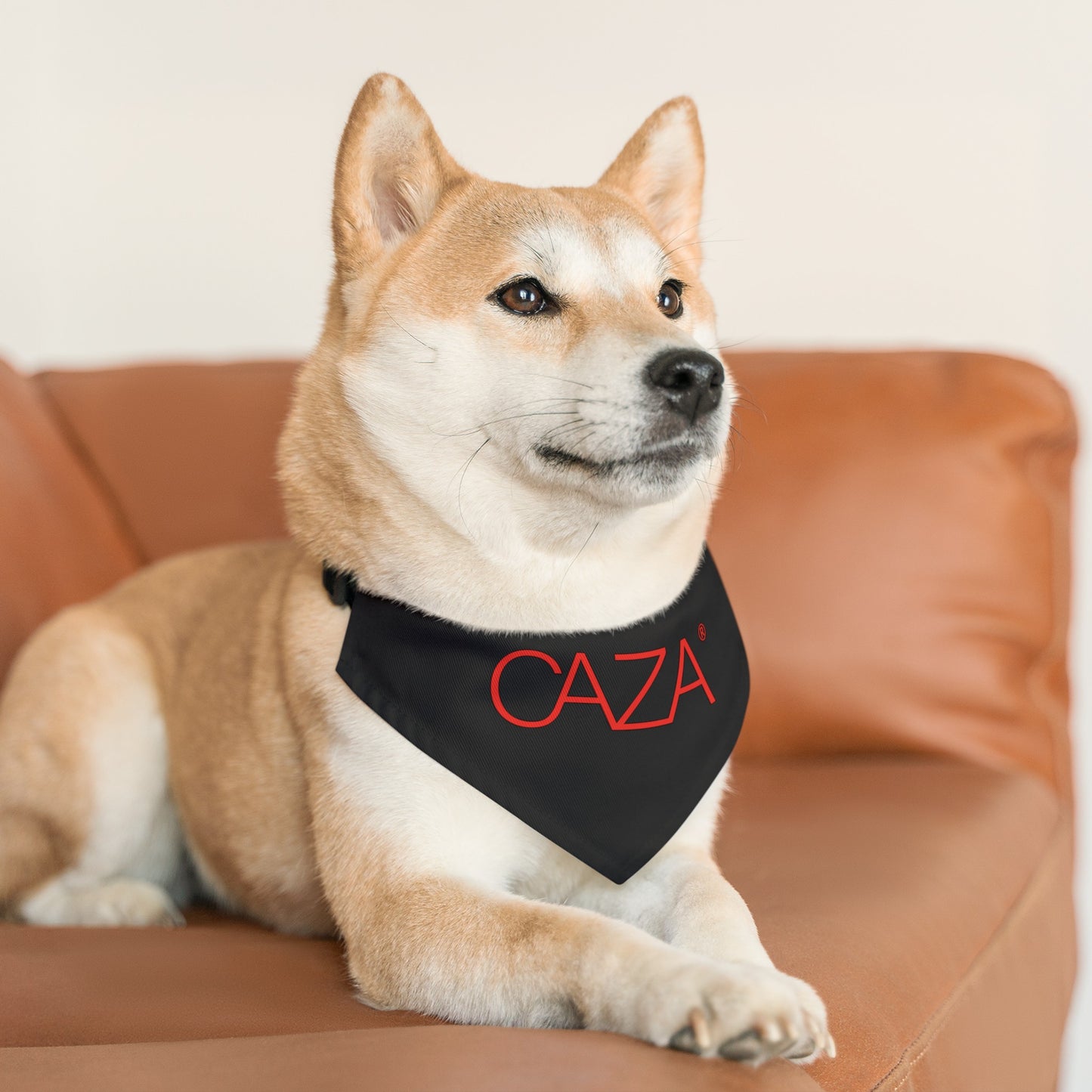Pet Bandana Collar (Black)