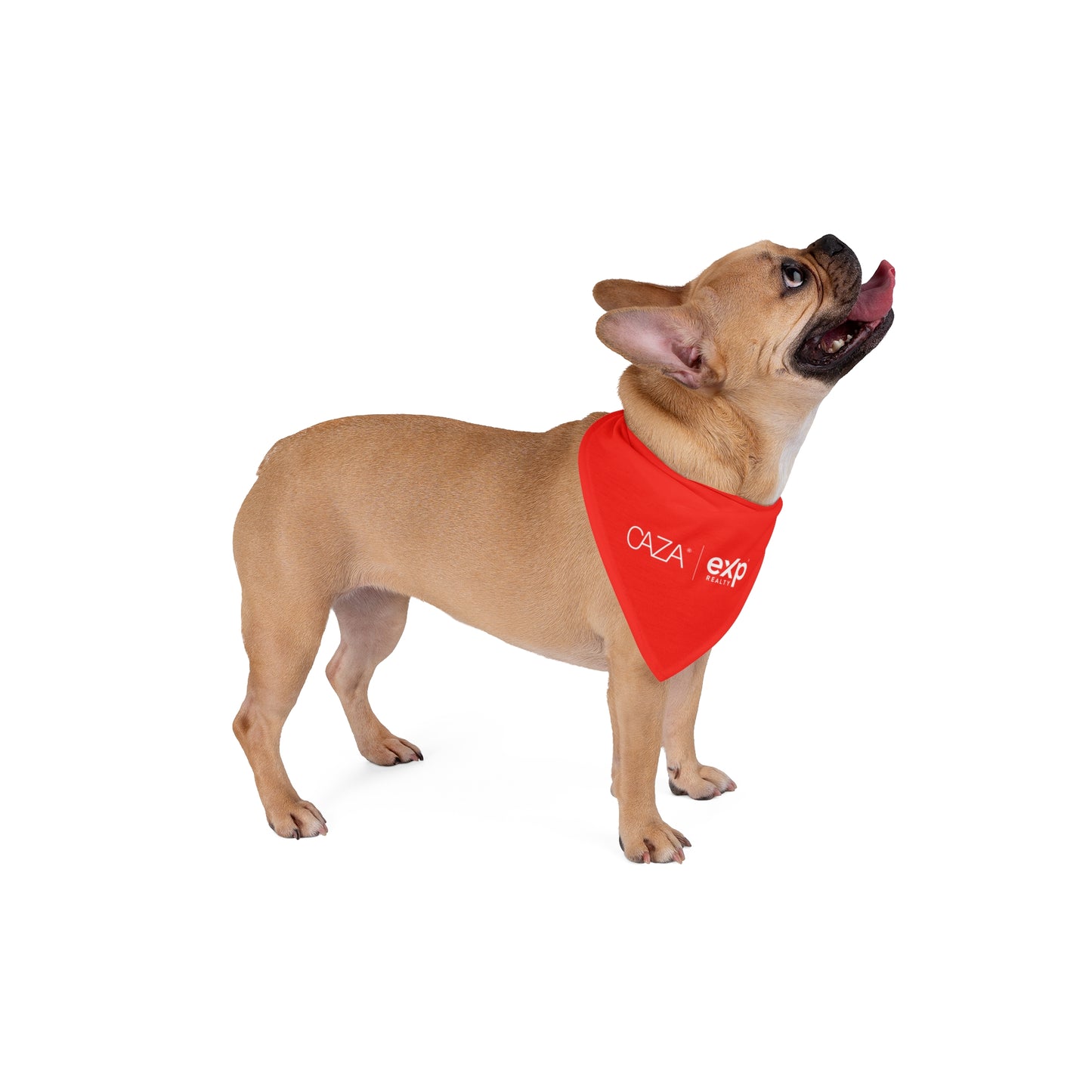 Pet Bandana (Red)
