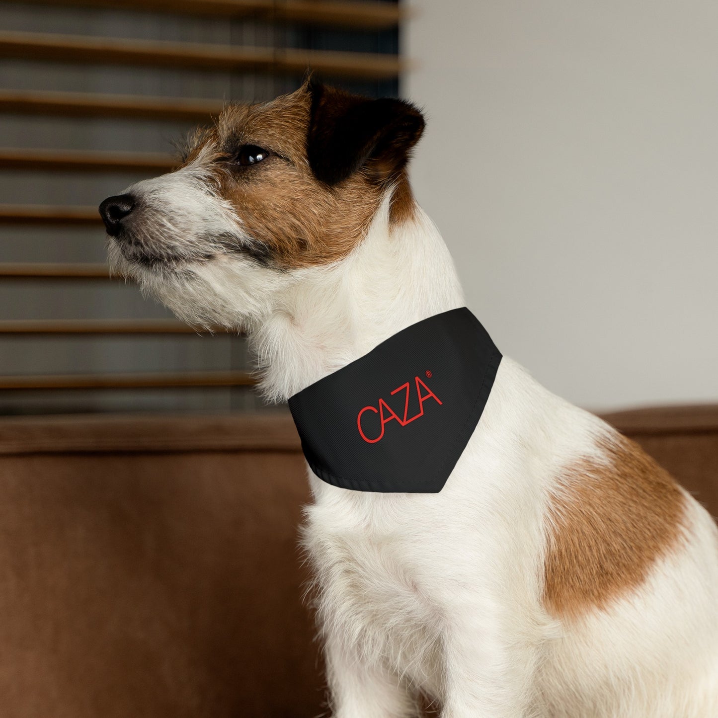 Pet Bandana Collar (Black)