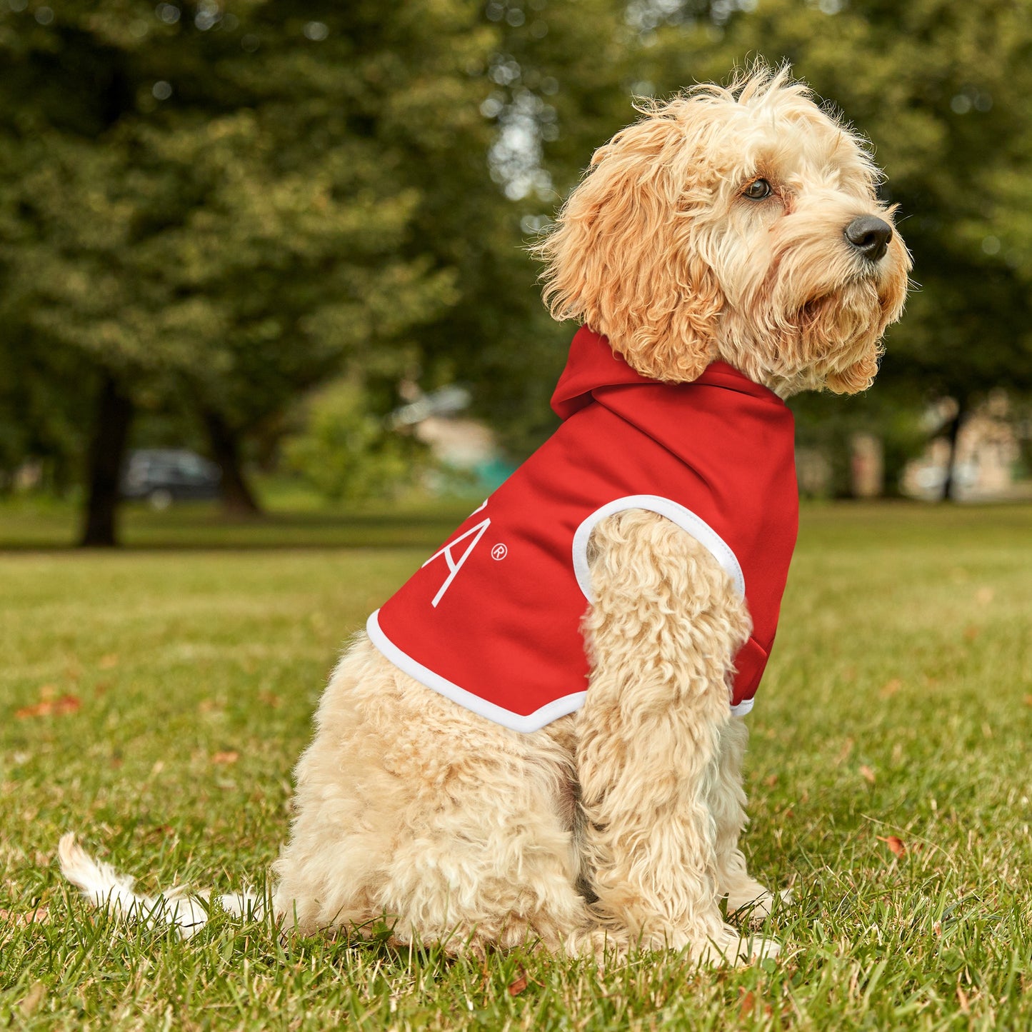 Pet Hoodie (Red)