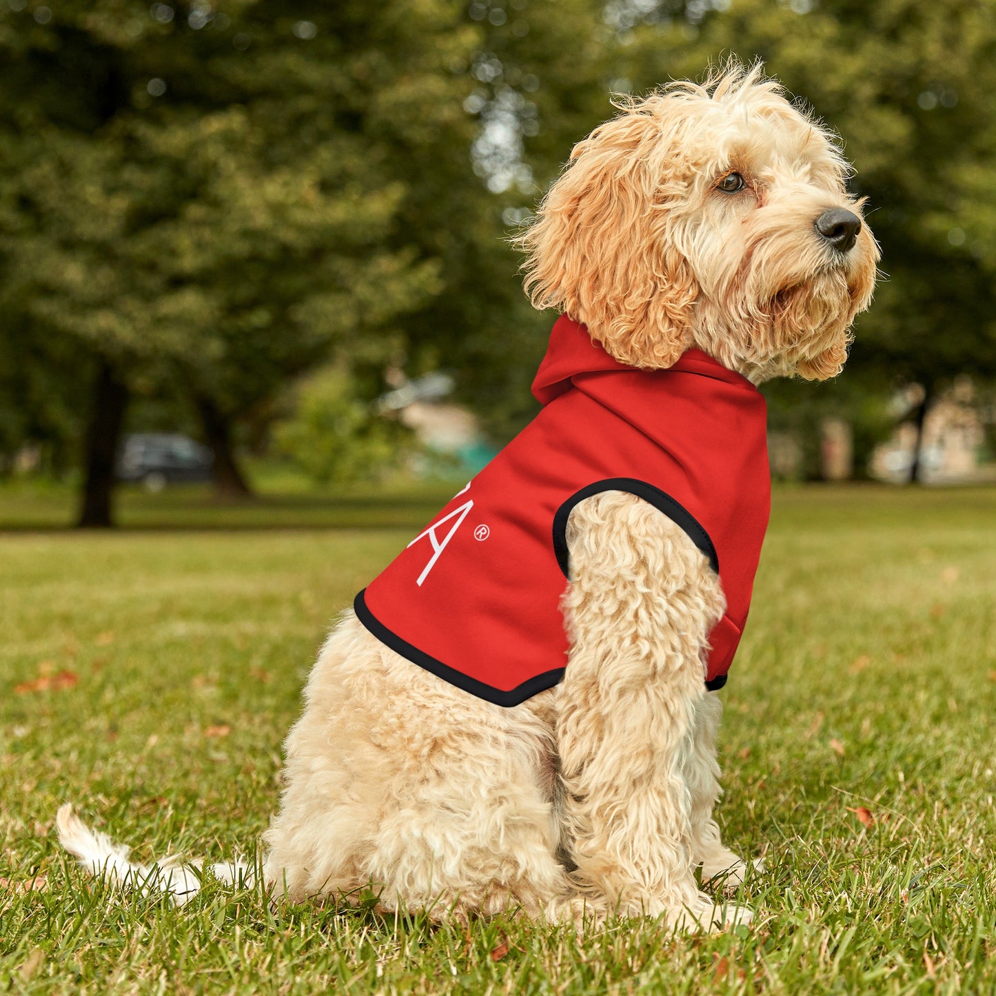 Pet Hoodie (Red)