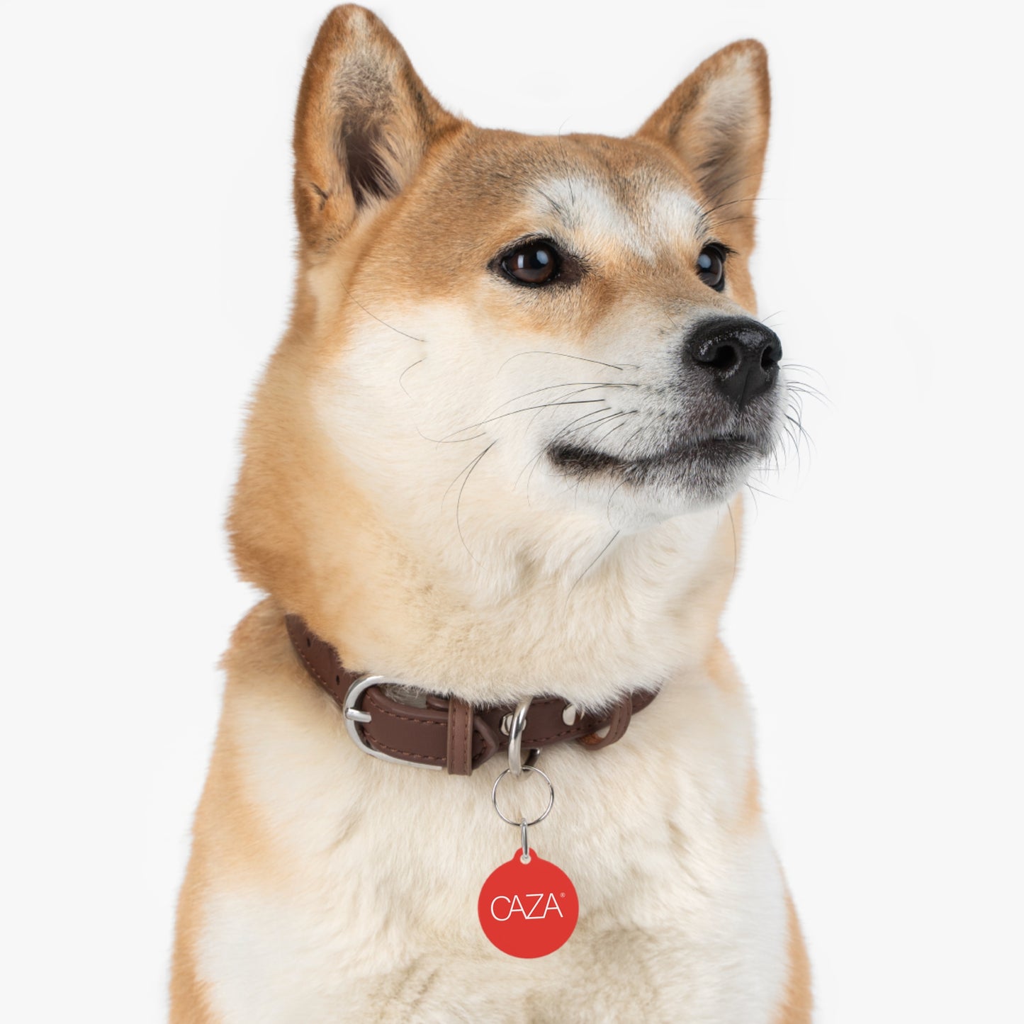 Pet Tag (Red)